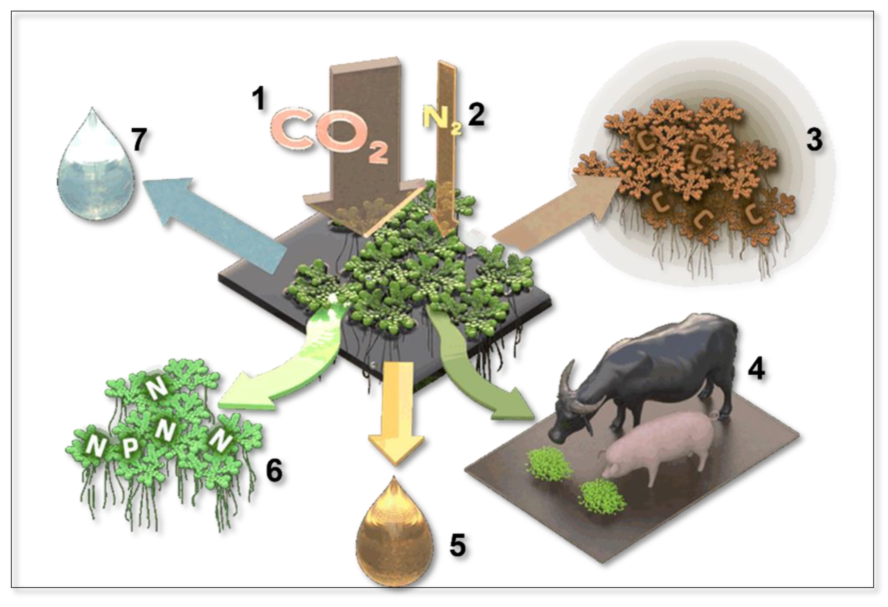 Preprints 109995 g002