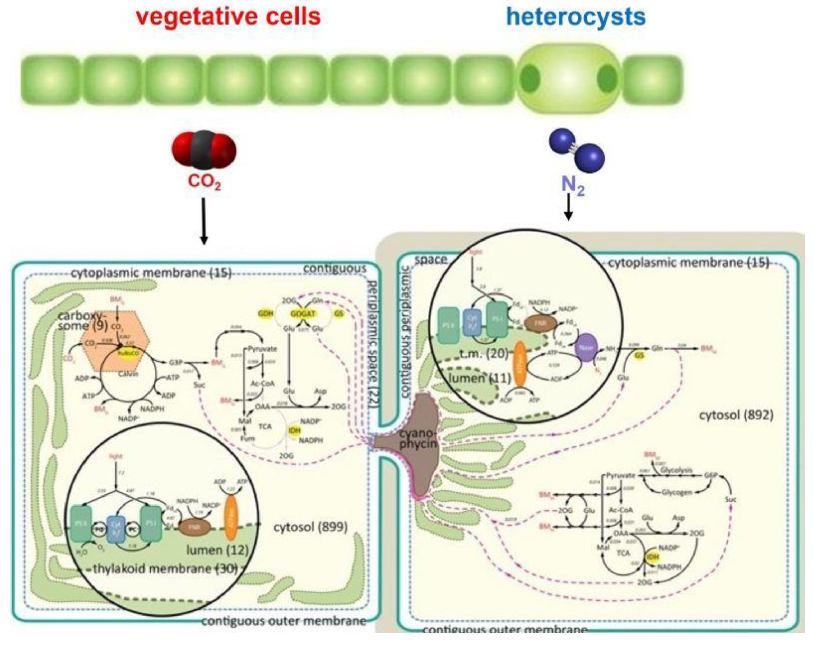 Preprints 109995 g003