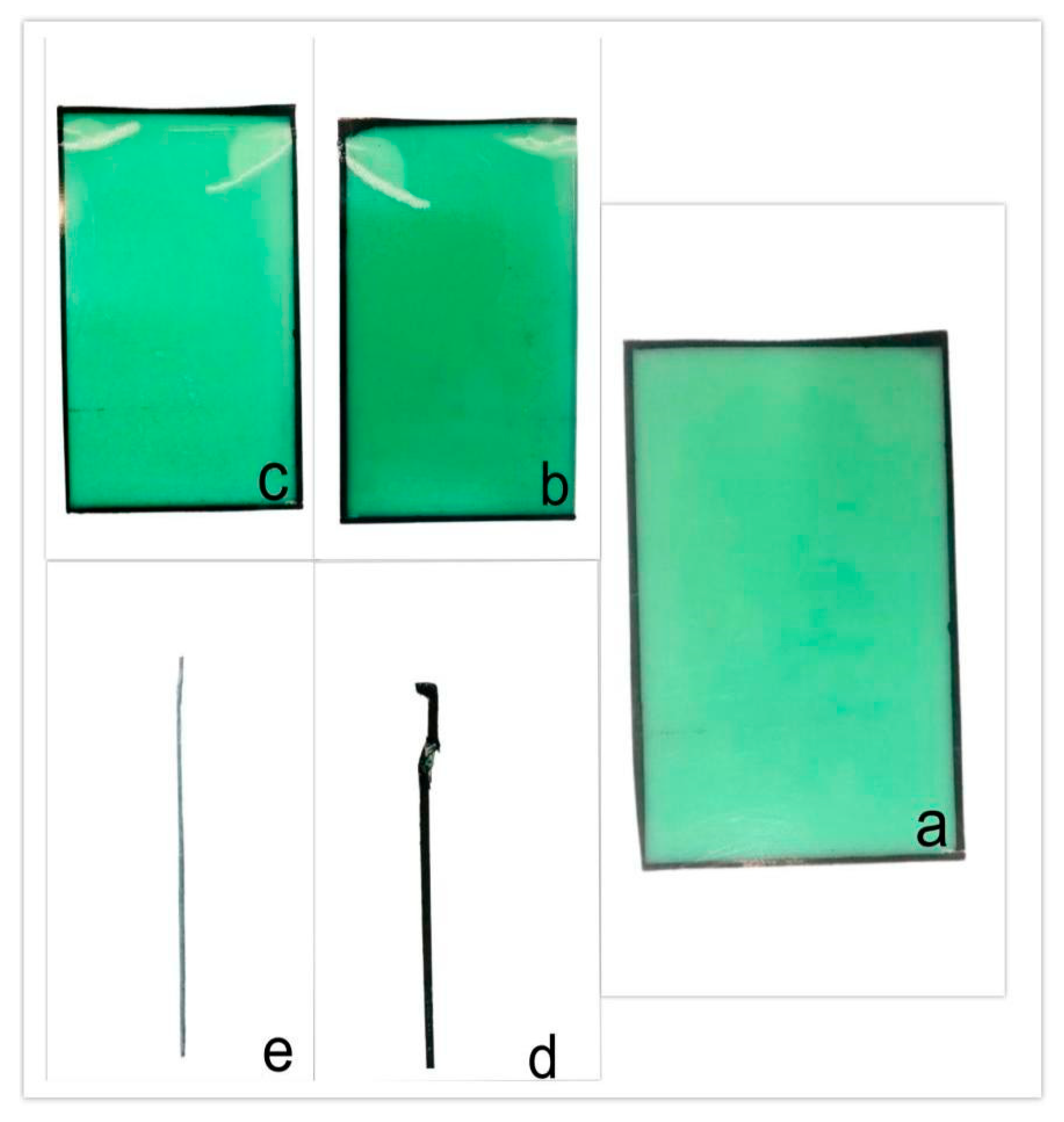 Preprints 207480 g006