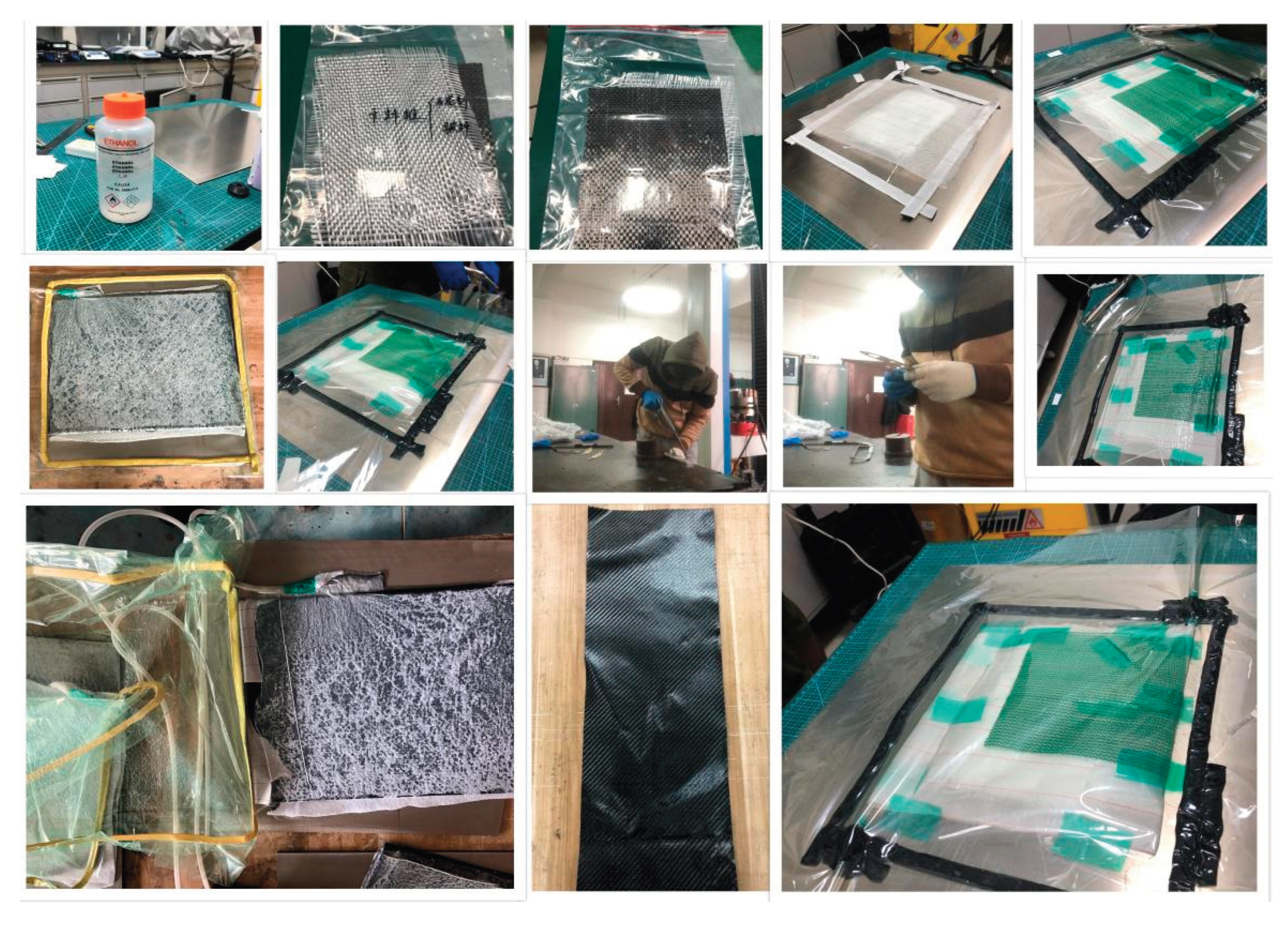 Preprints 207480 g011