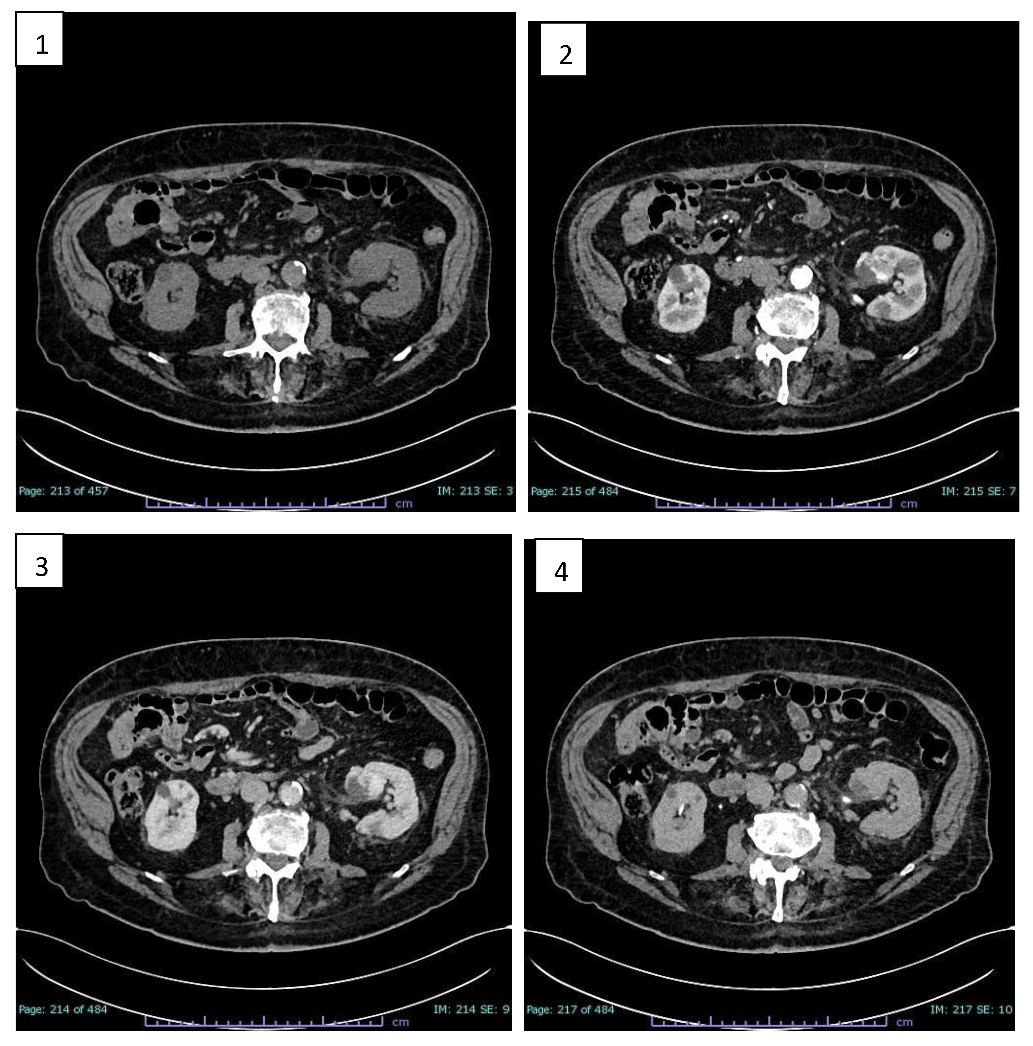 Preprints 163363 g001