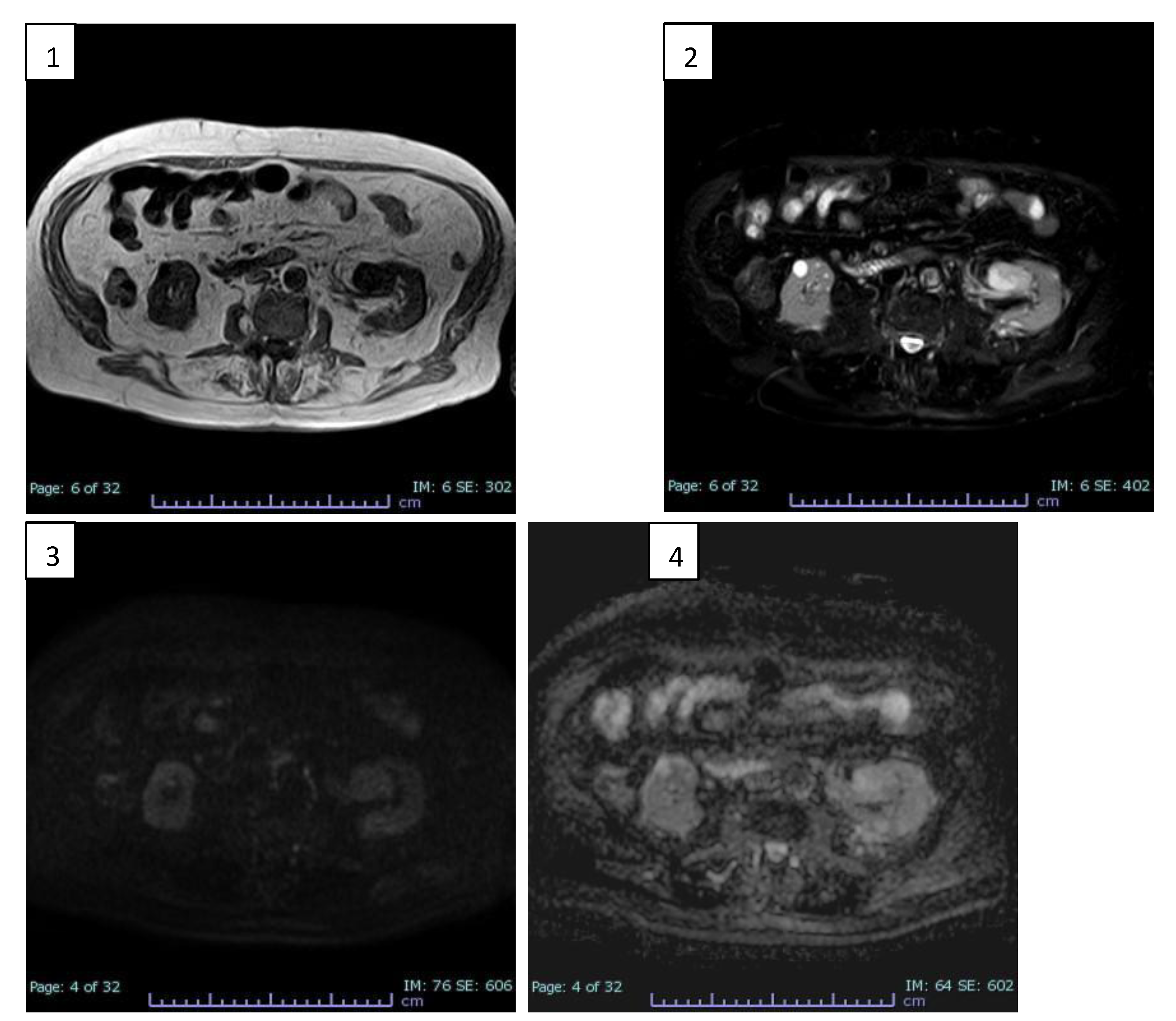 Preprints 163363 g002