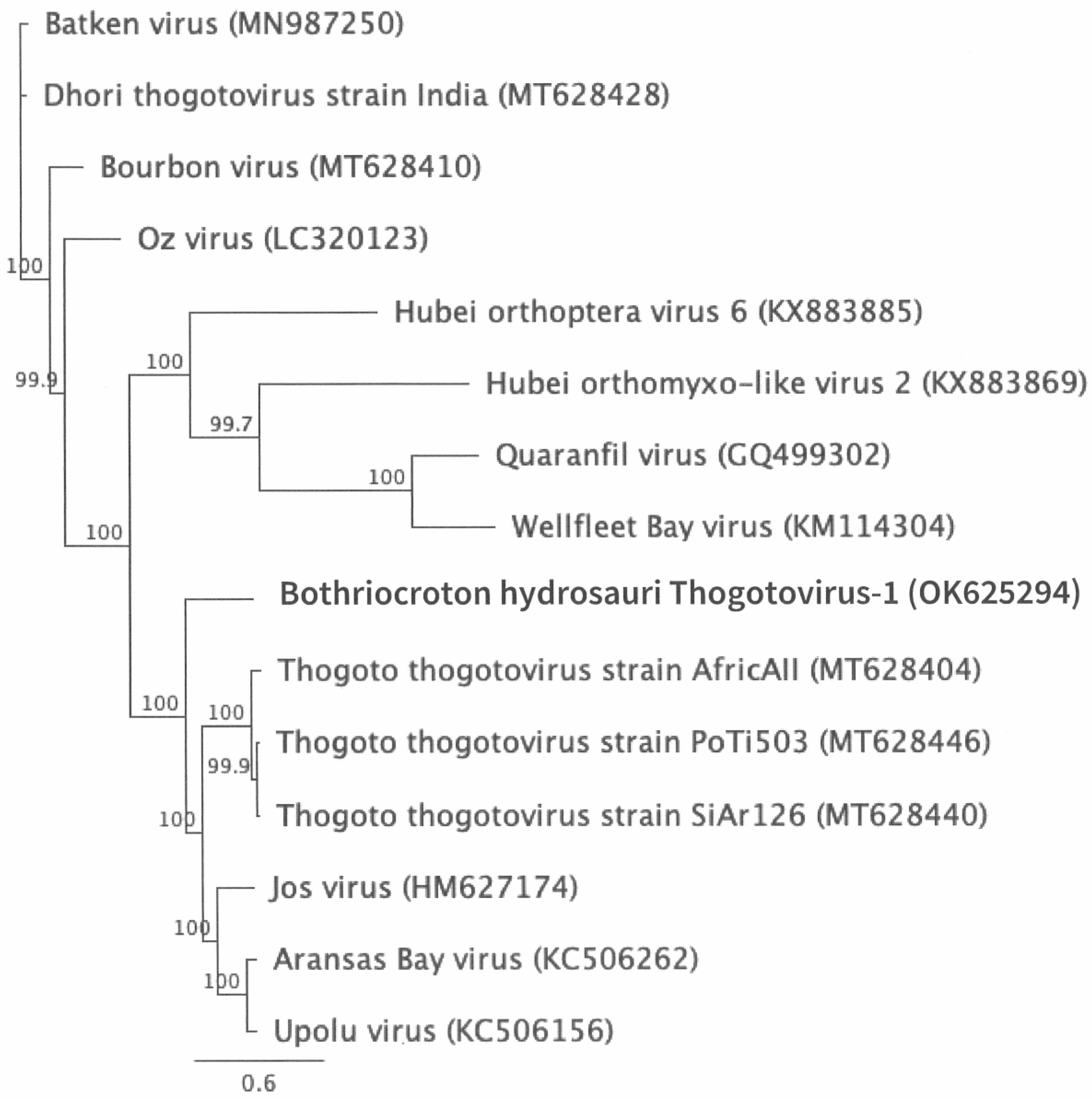 Preprints 151960 g003
