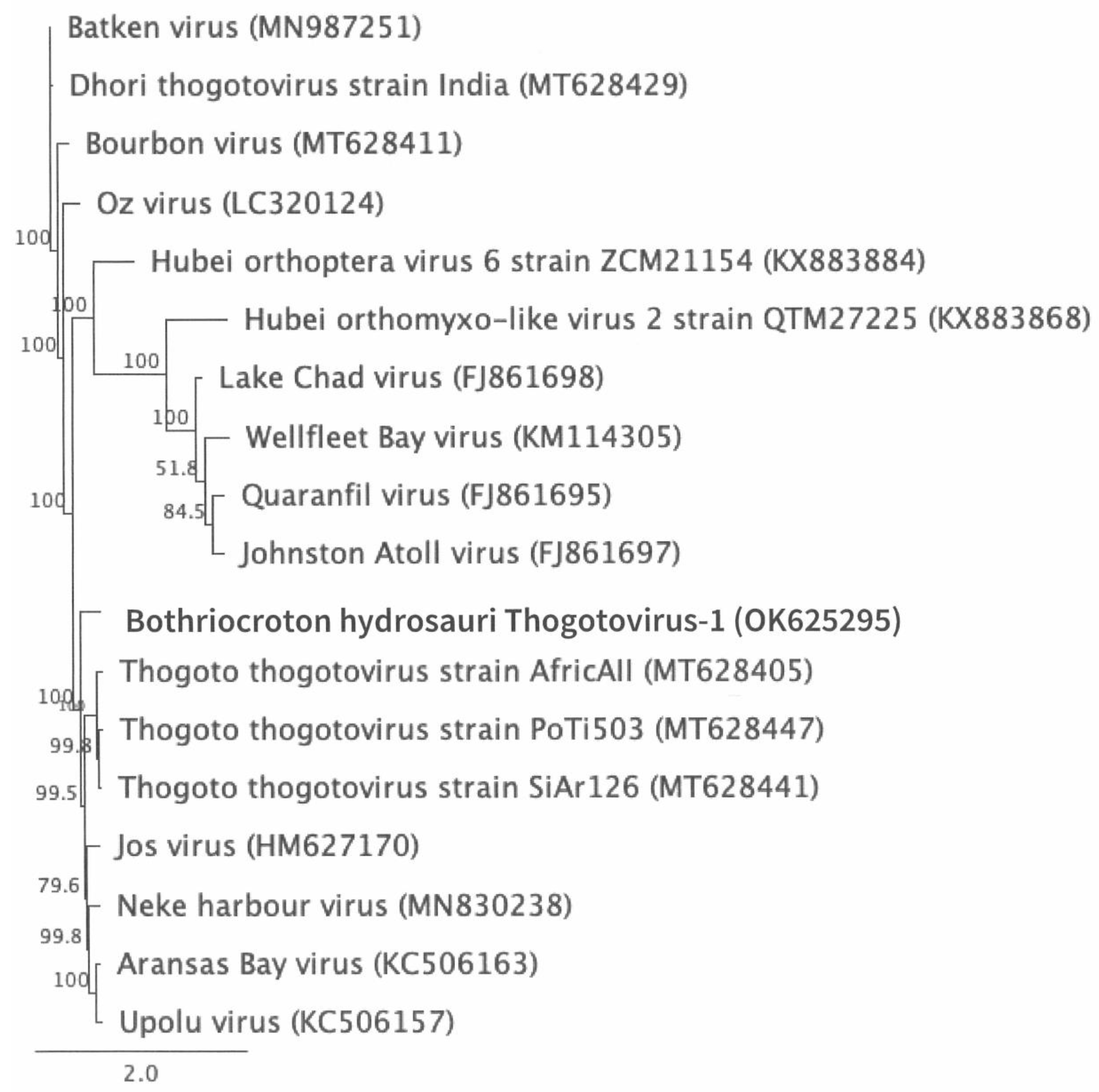 Preprints 151960 g004