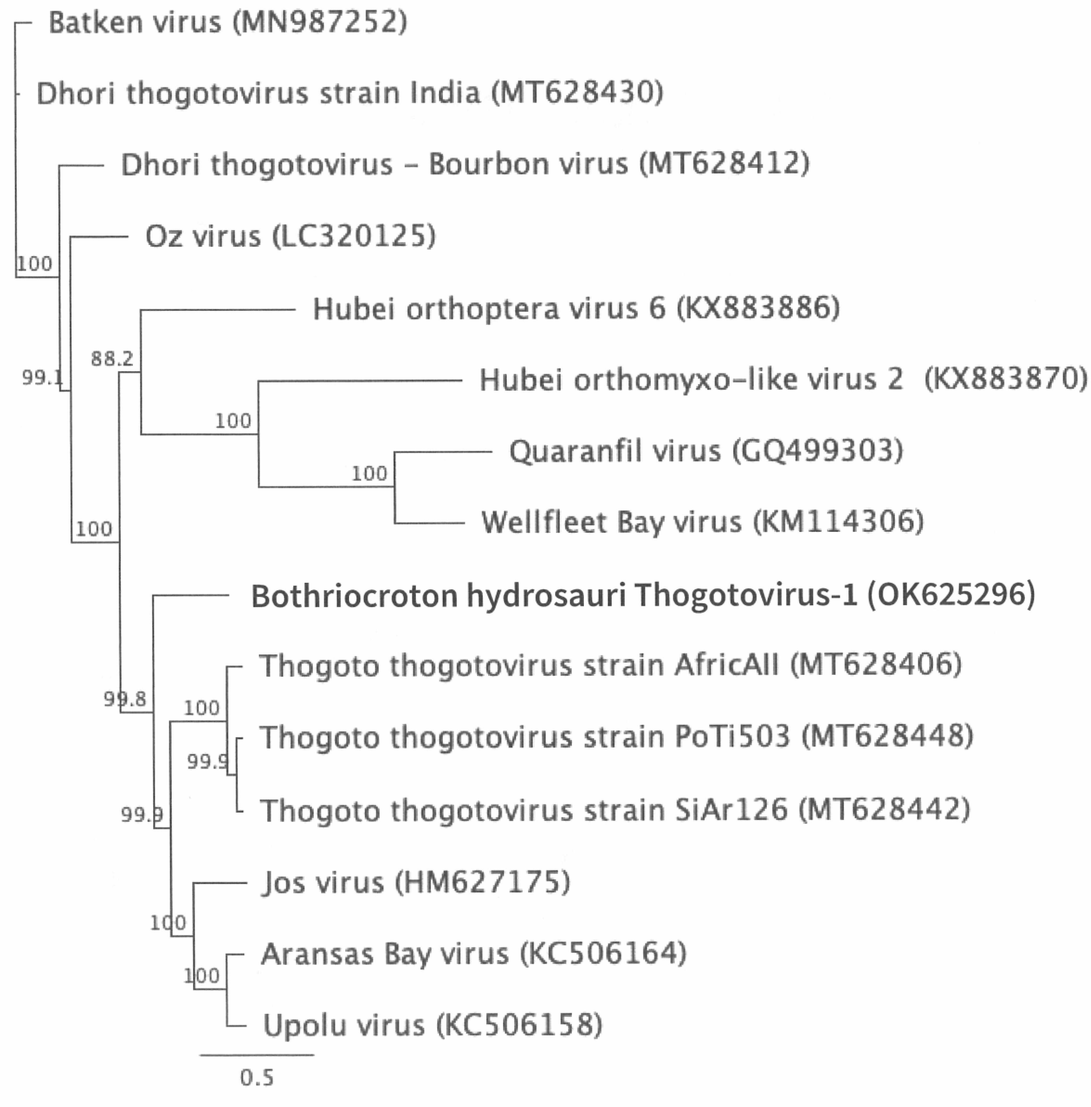 Preprints 151960 g005