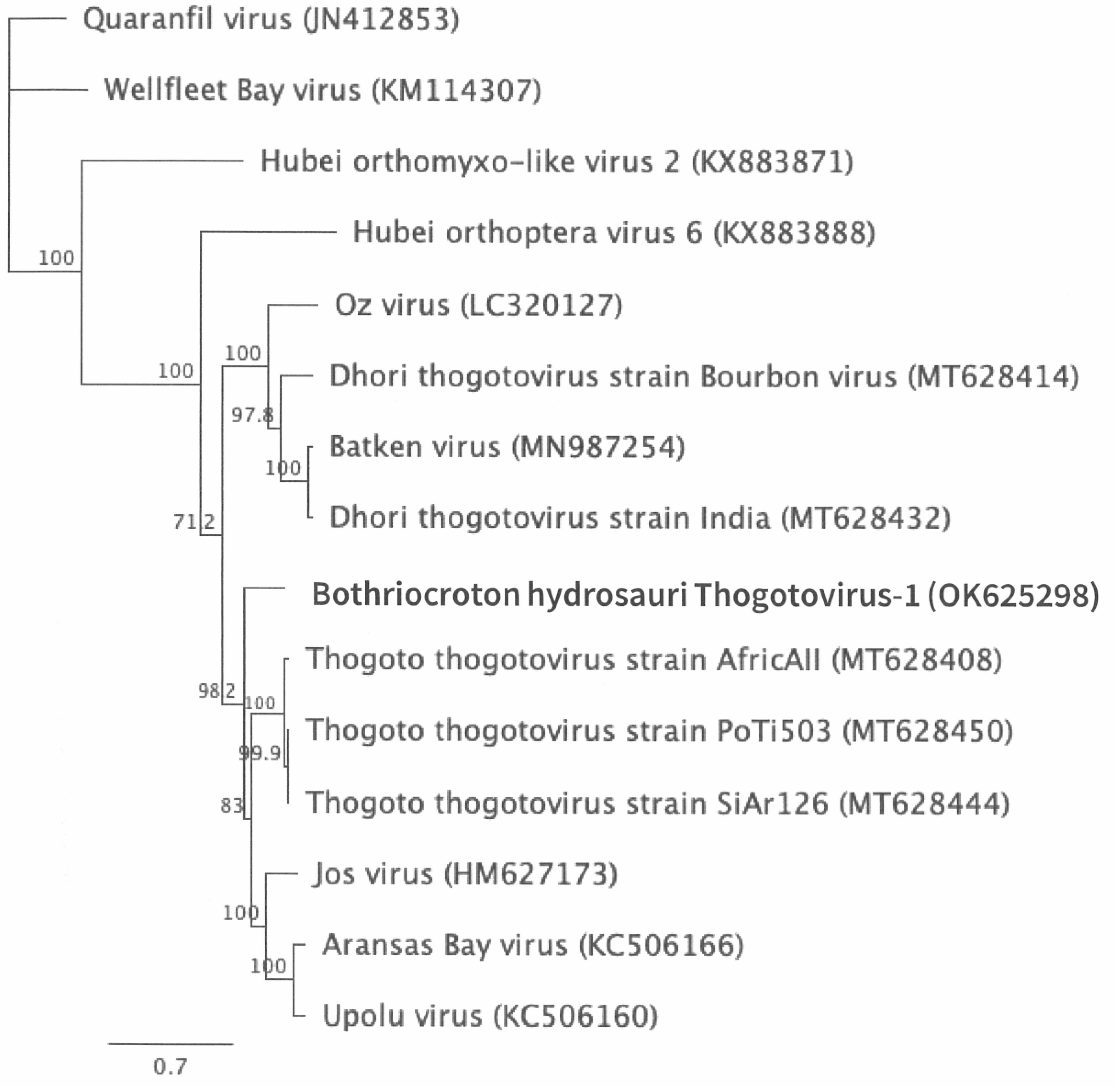 Preprints 151960 g007