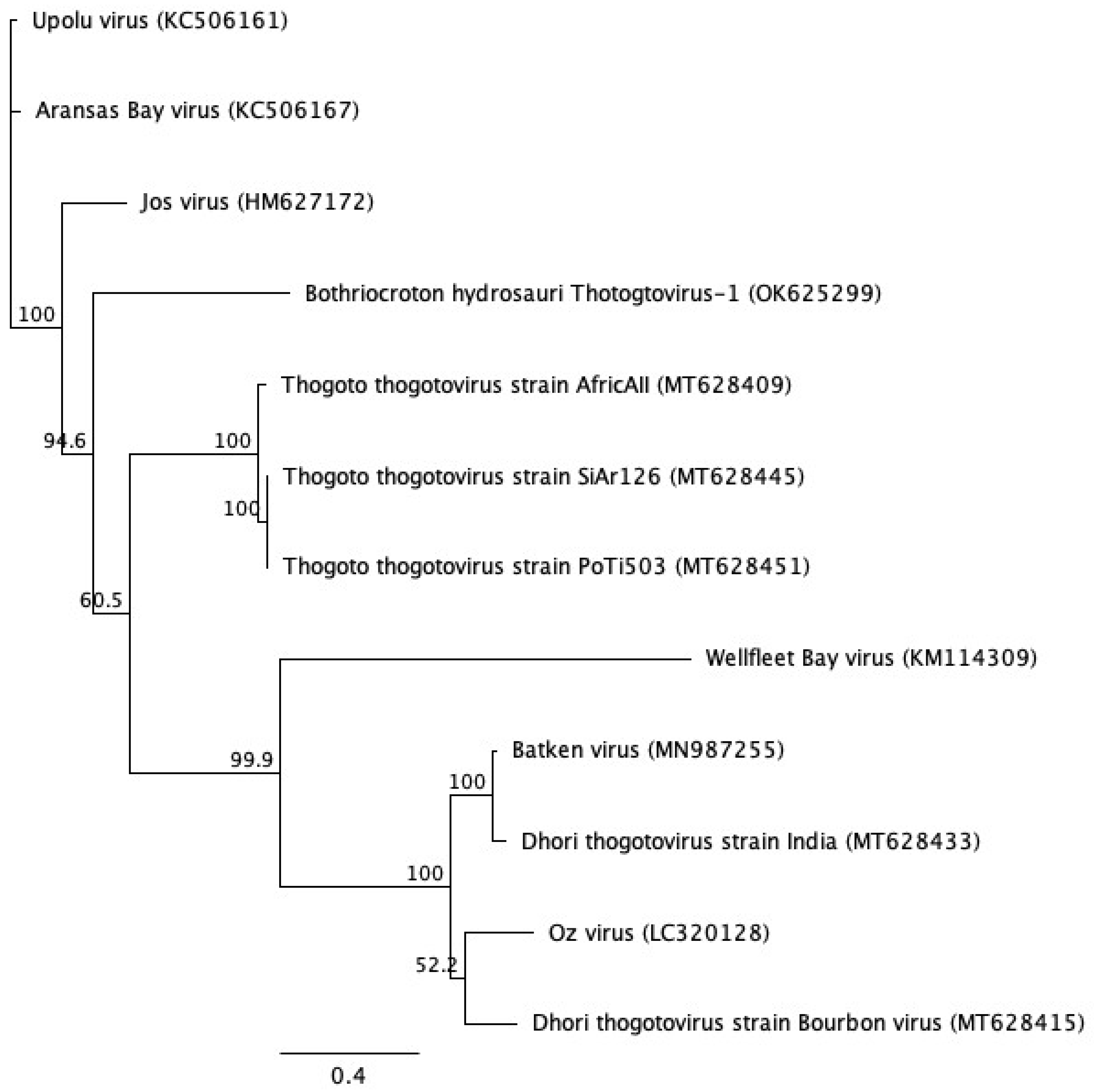 Preprints 151960 g008