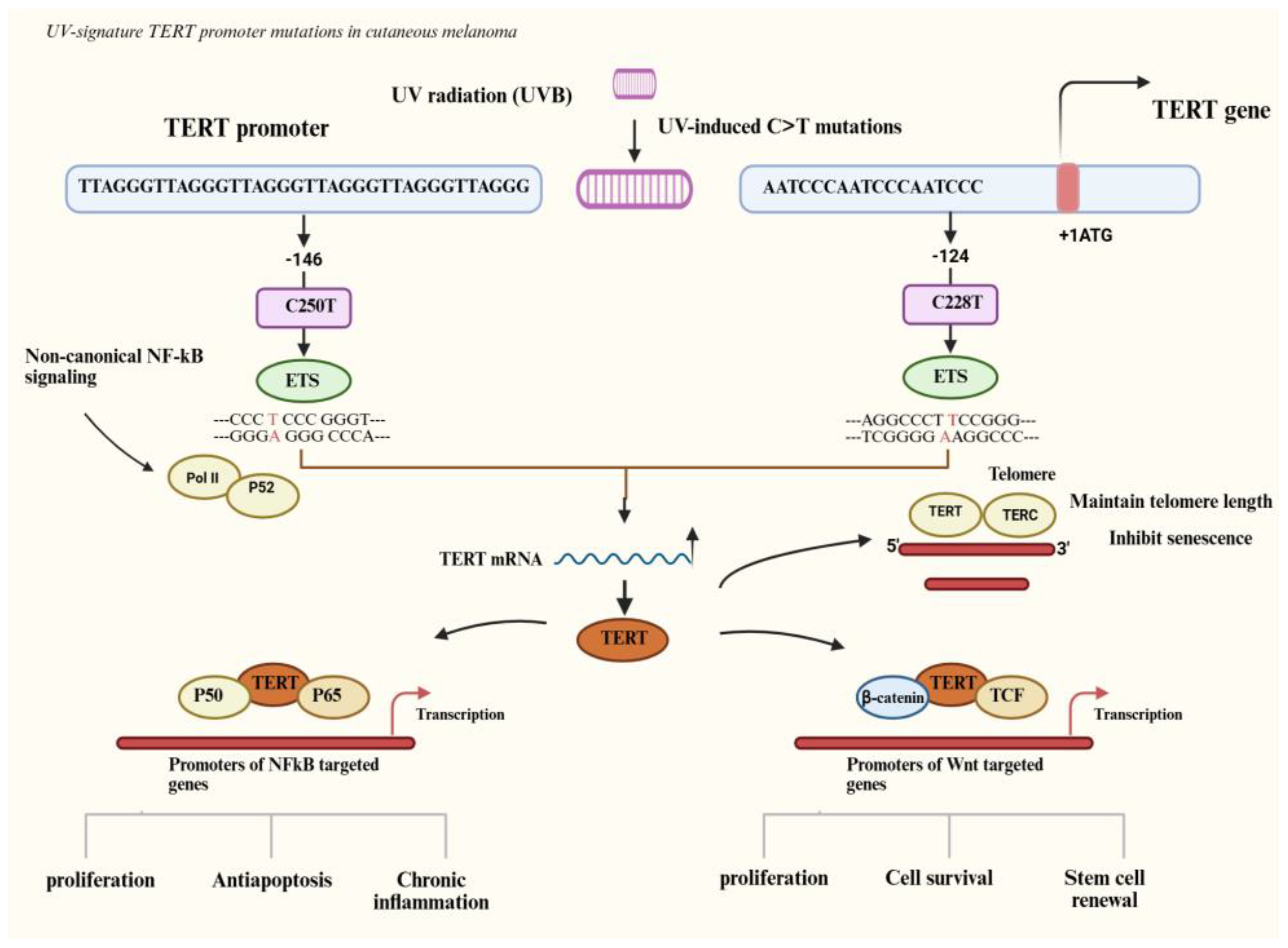 Preprints 188327 g002