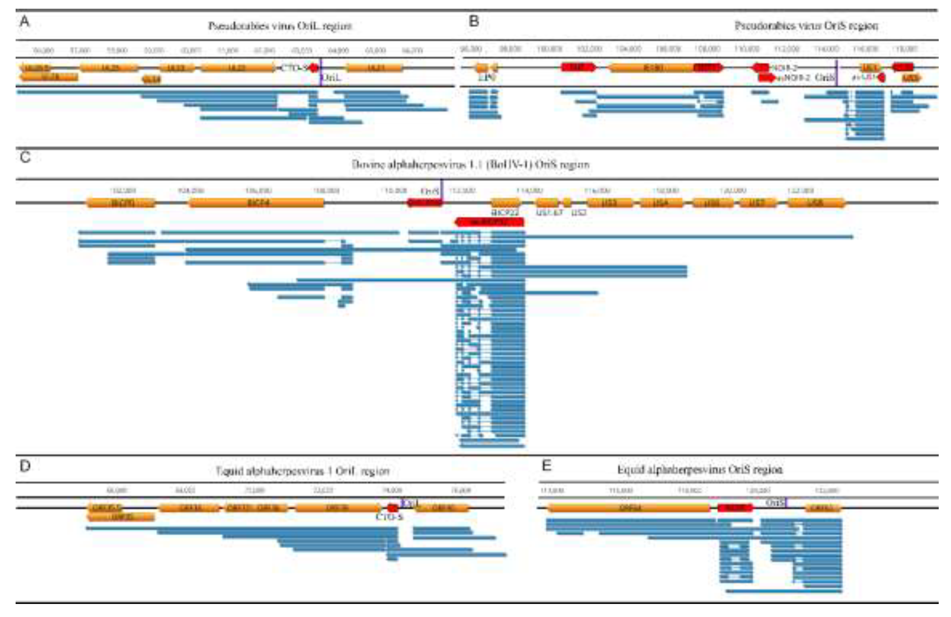 Preprints 194744 g002