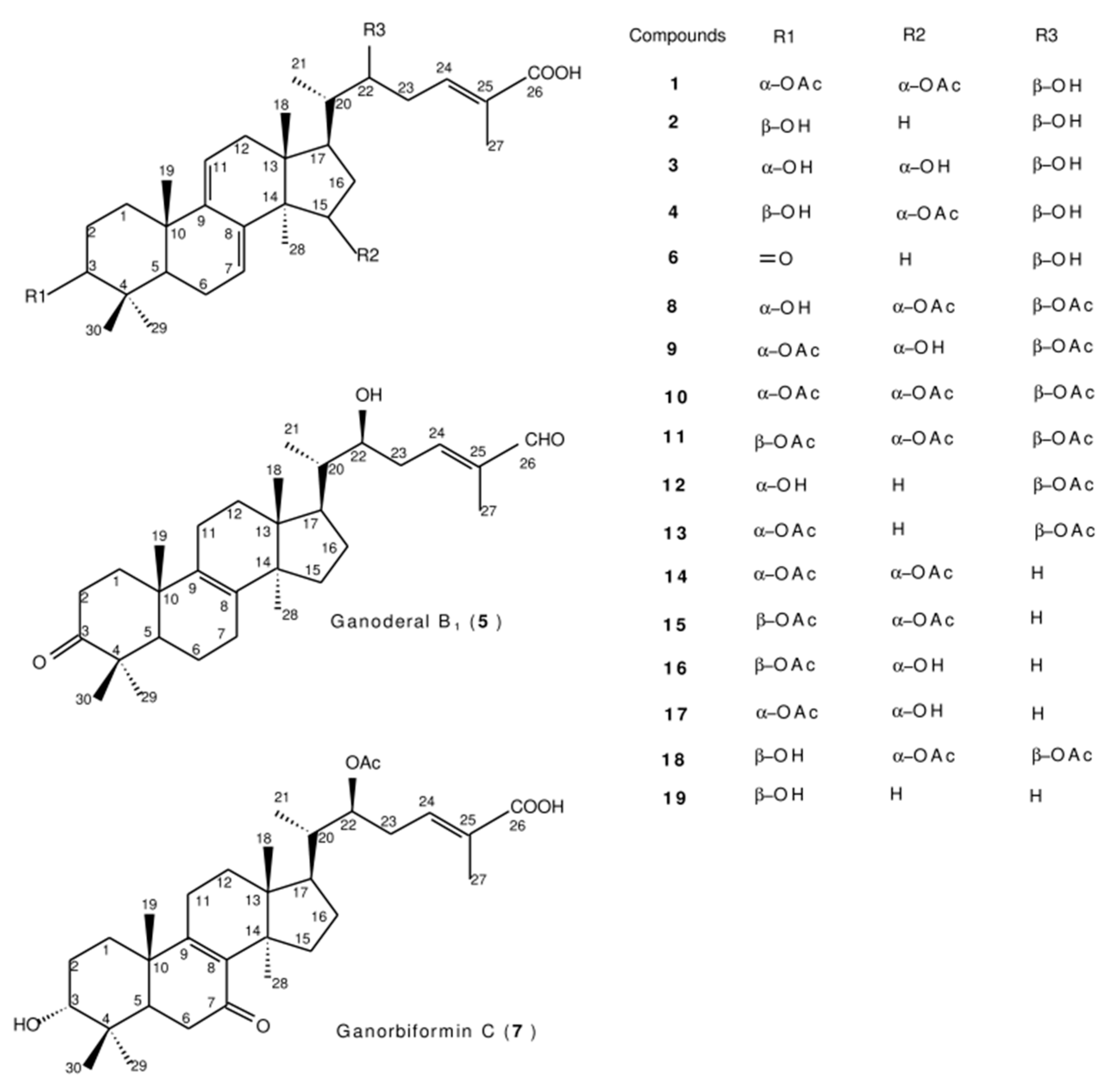 Preprints 84041 g001