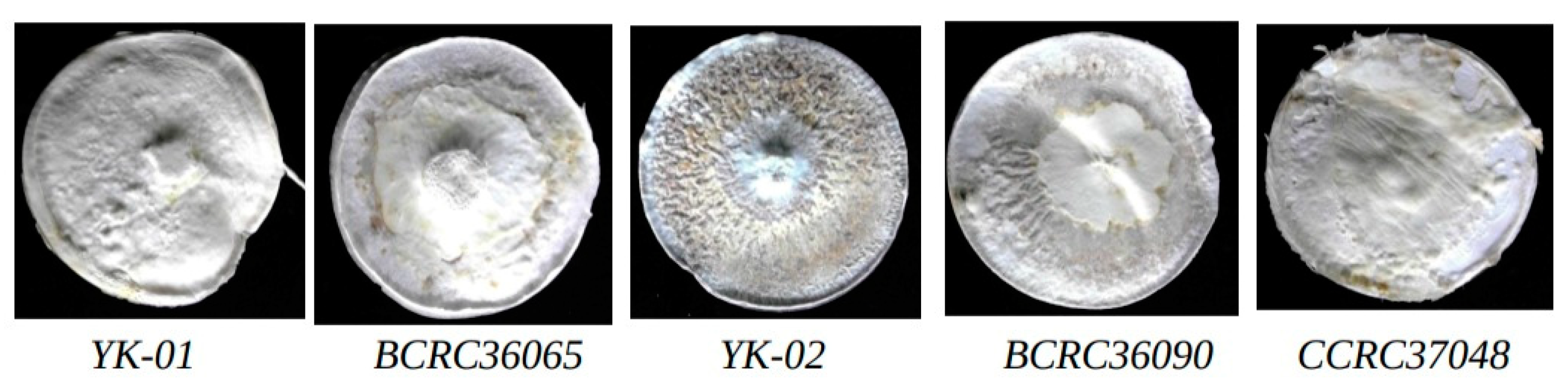 Preprints 84041 g003