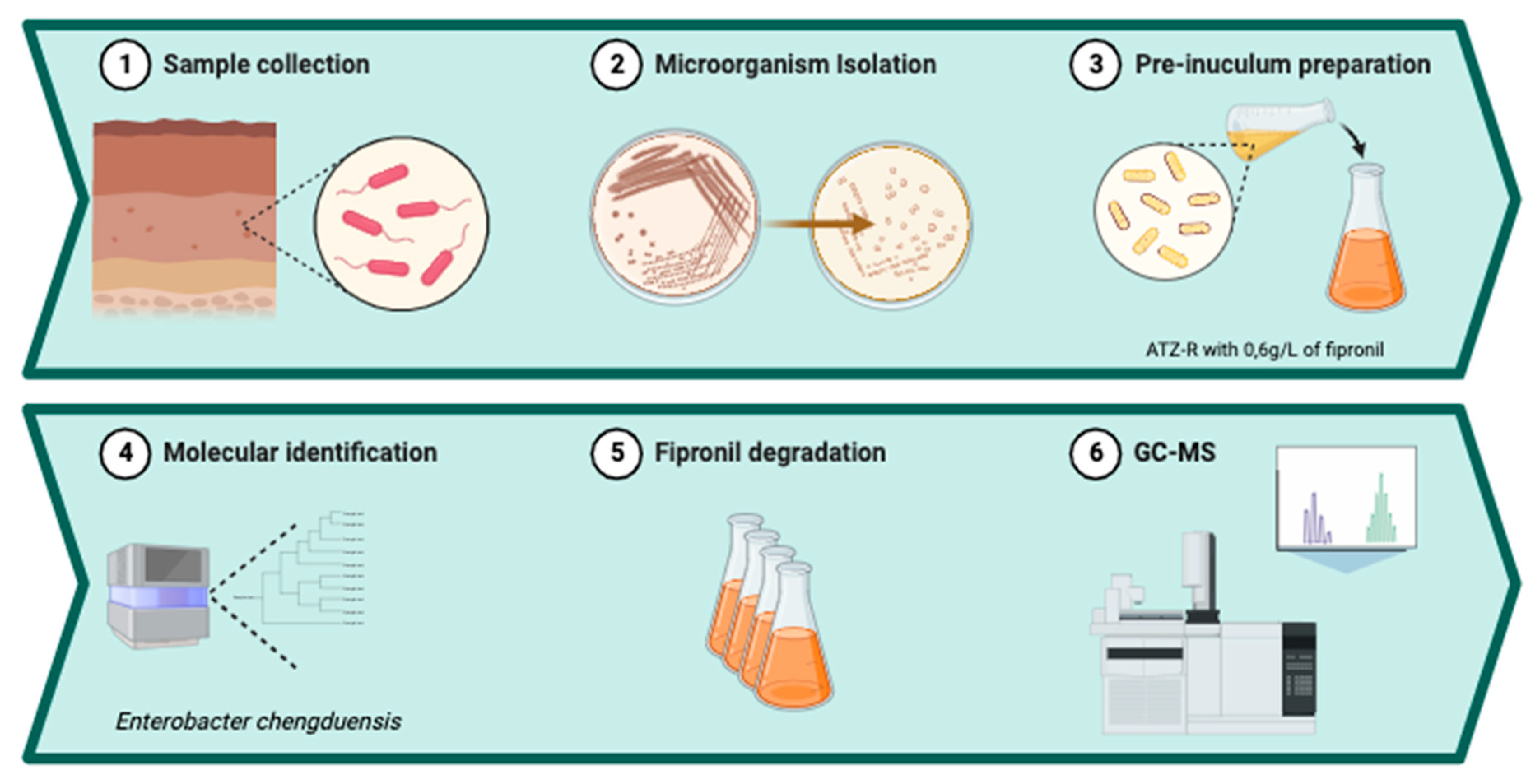 Preprints 83723 g001
