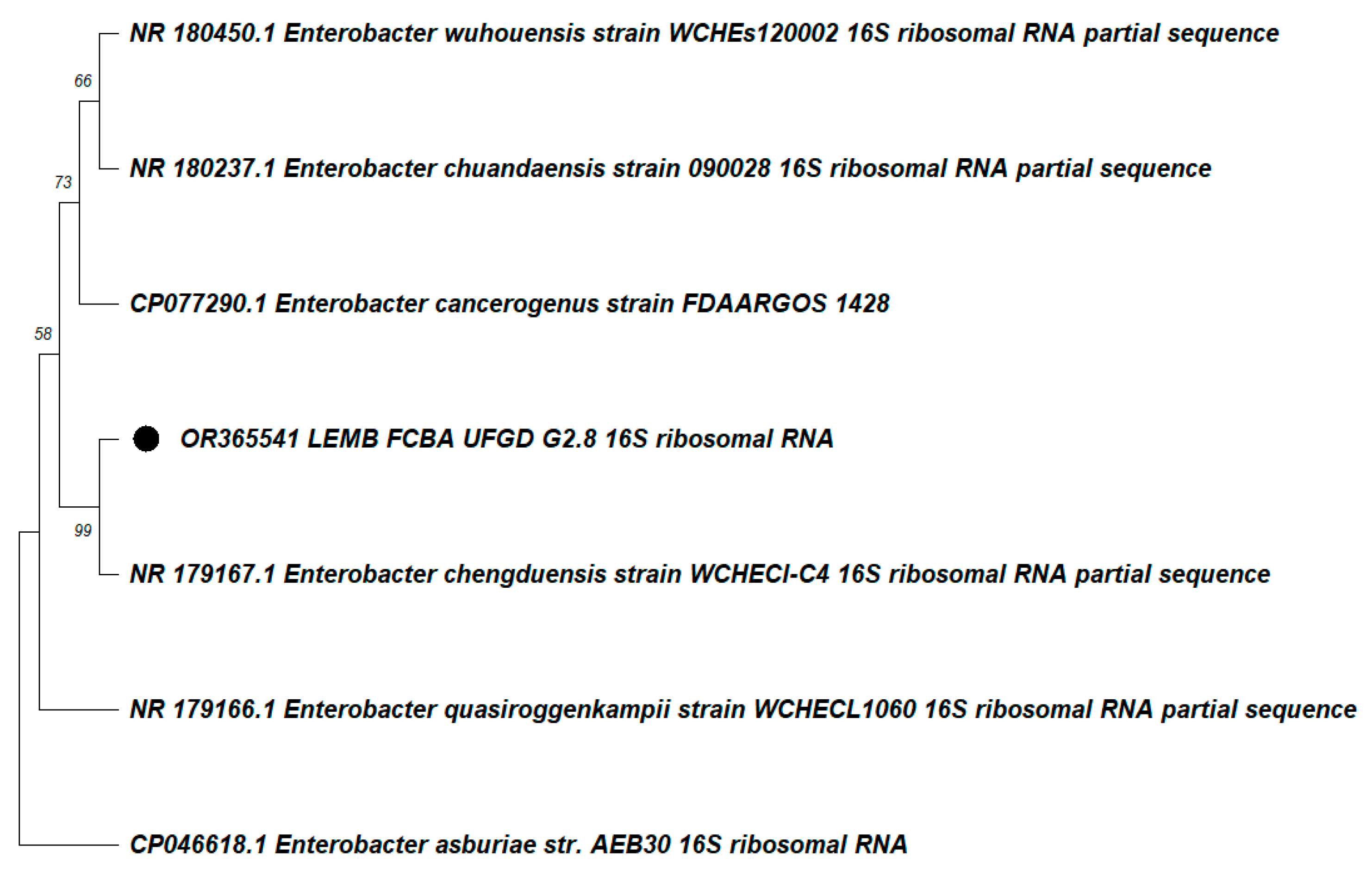 Preprints 83723 g002