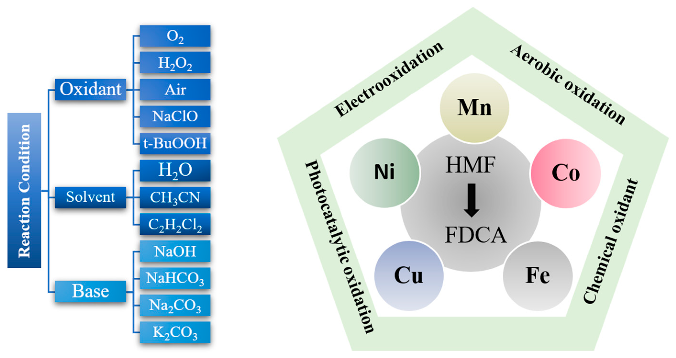 Preprints 195281 g007