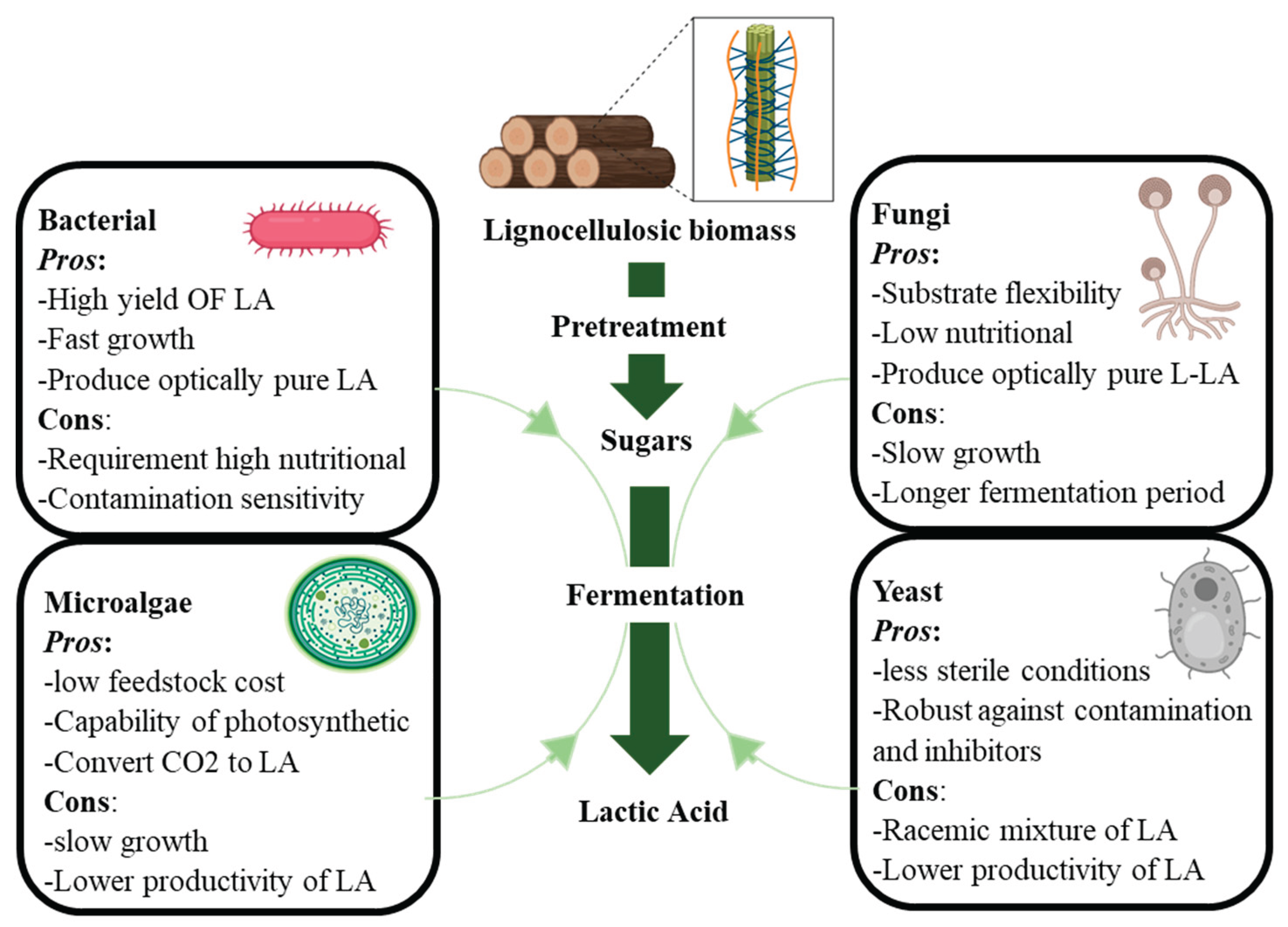 Preprints 195281 g012