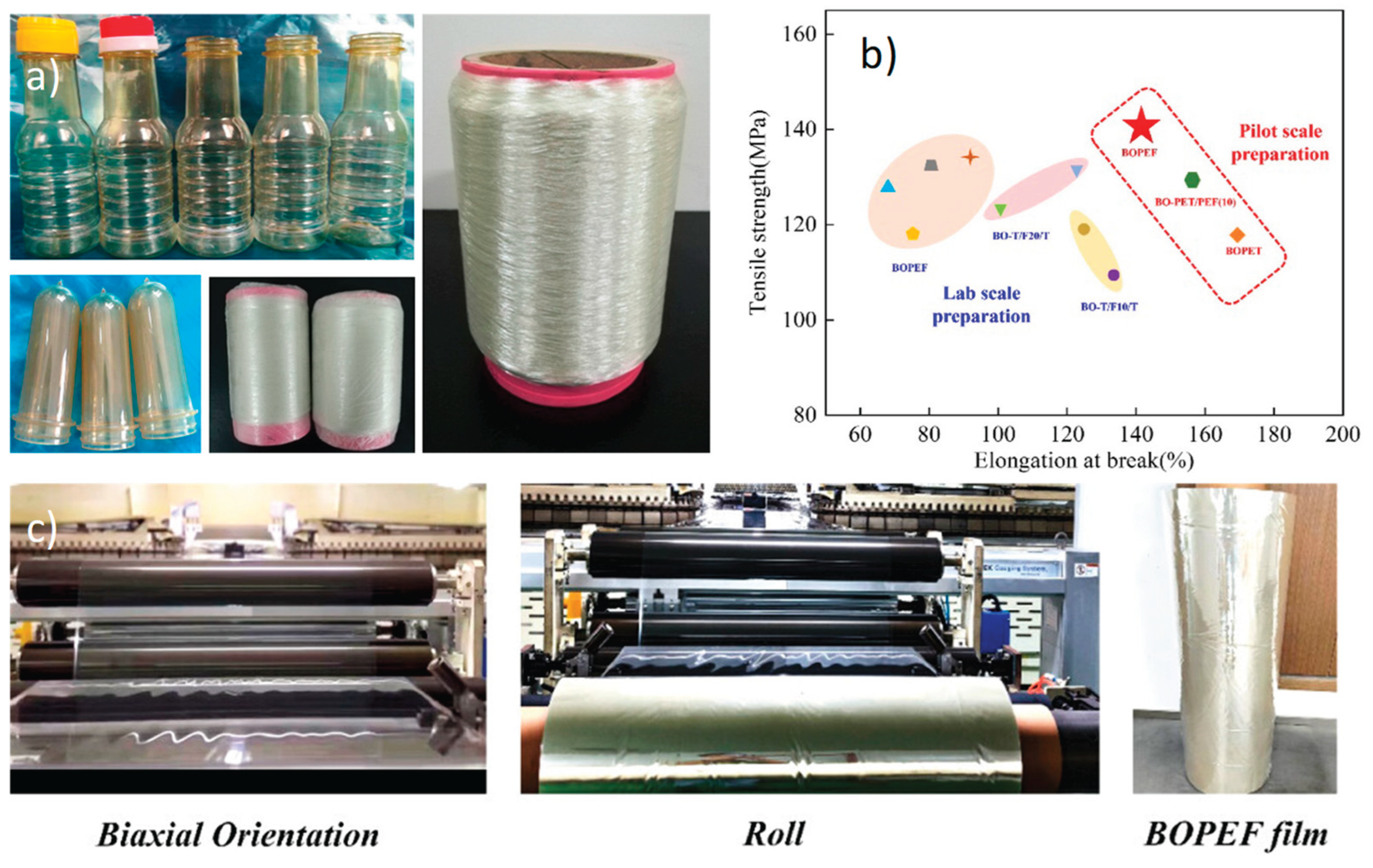 Preprints 195281 g016
