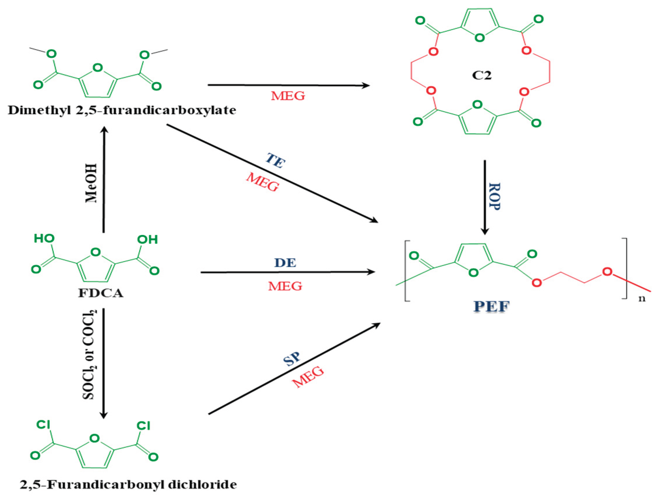 Preprints 195281 g017