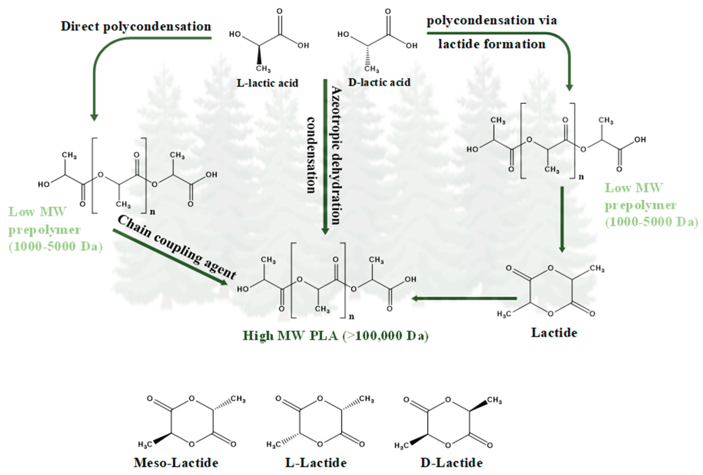 Preprints 195281 g021