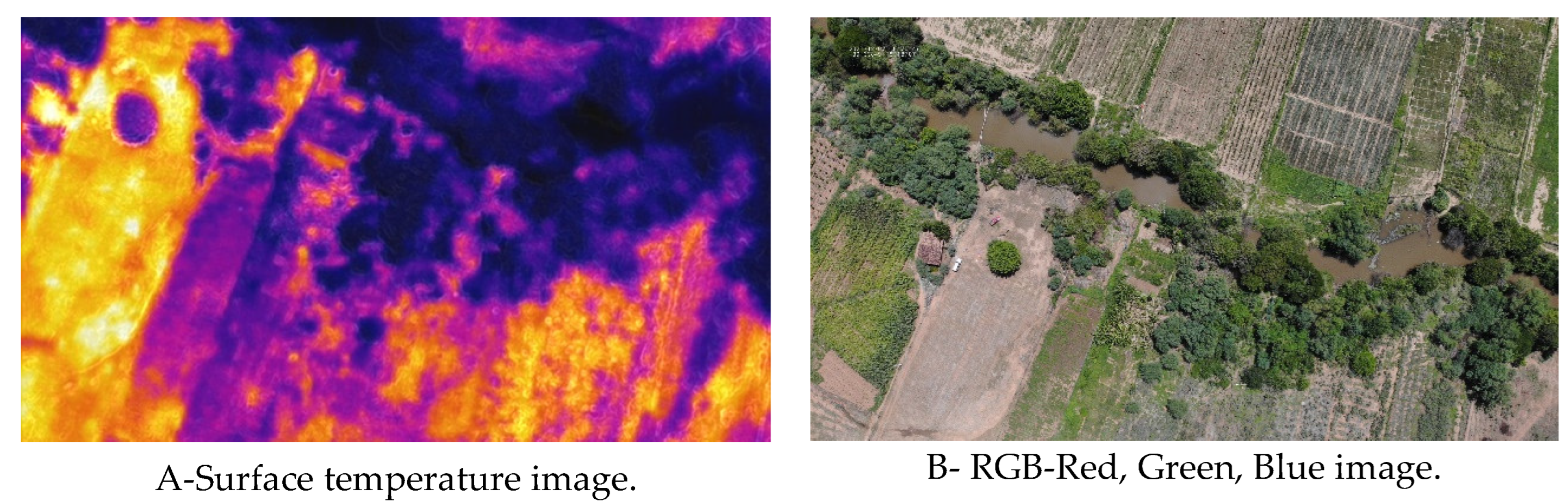 Preprints 103083 g010