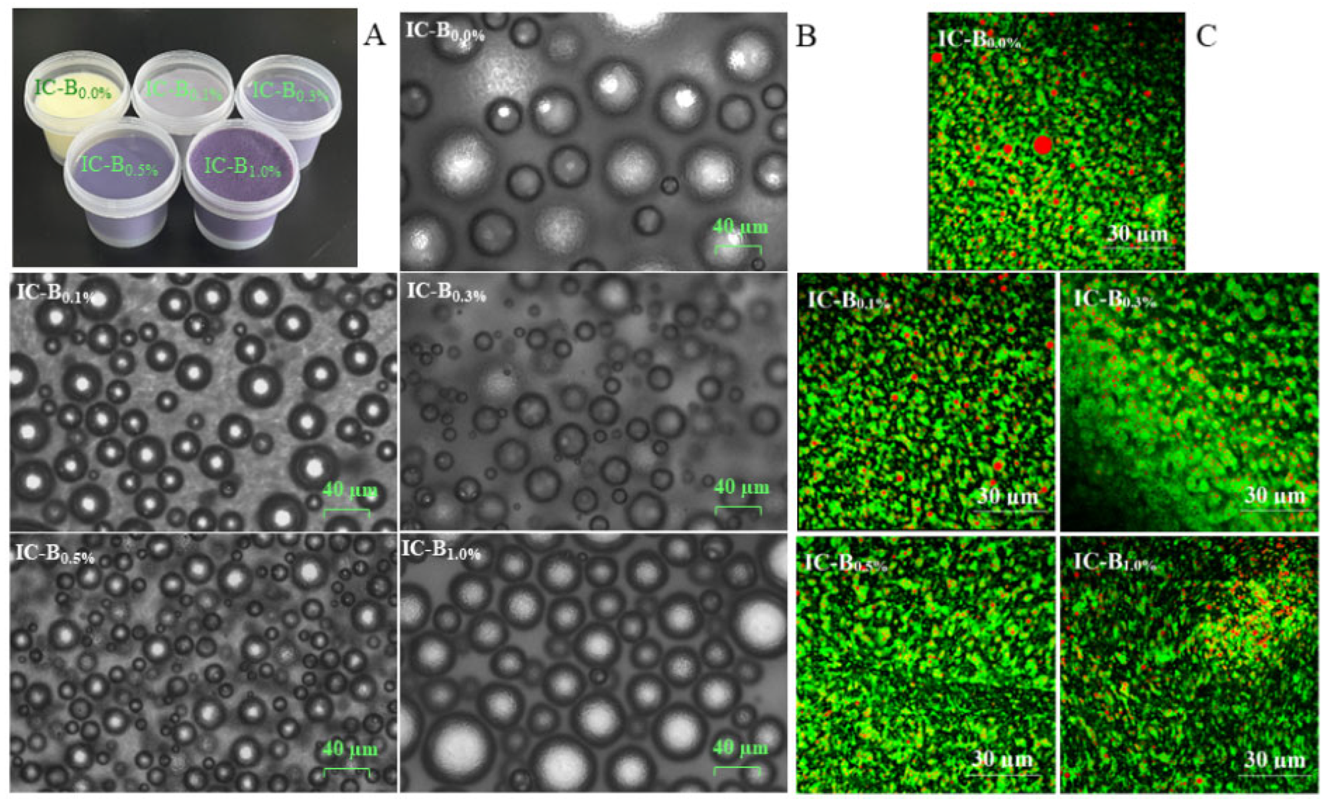 Preprints 121177 g004