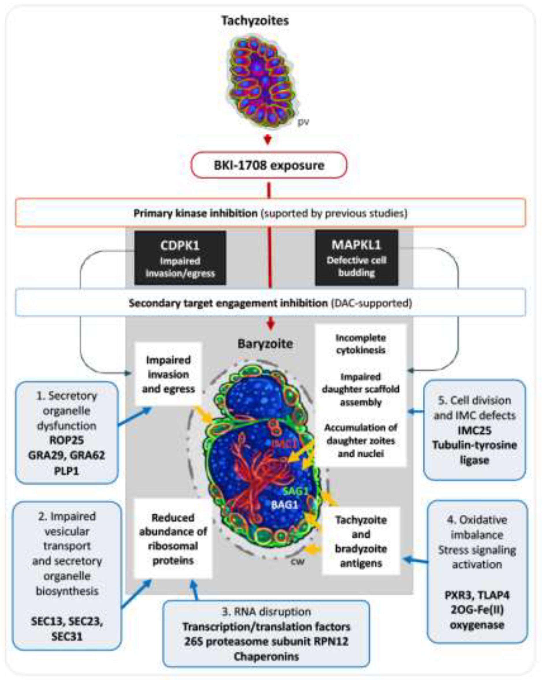 Preprints 208187 g005