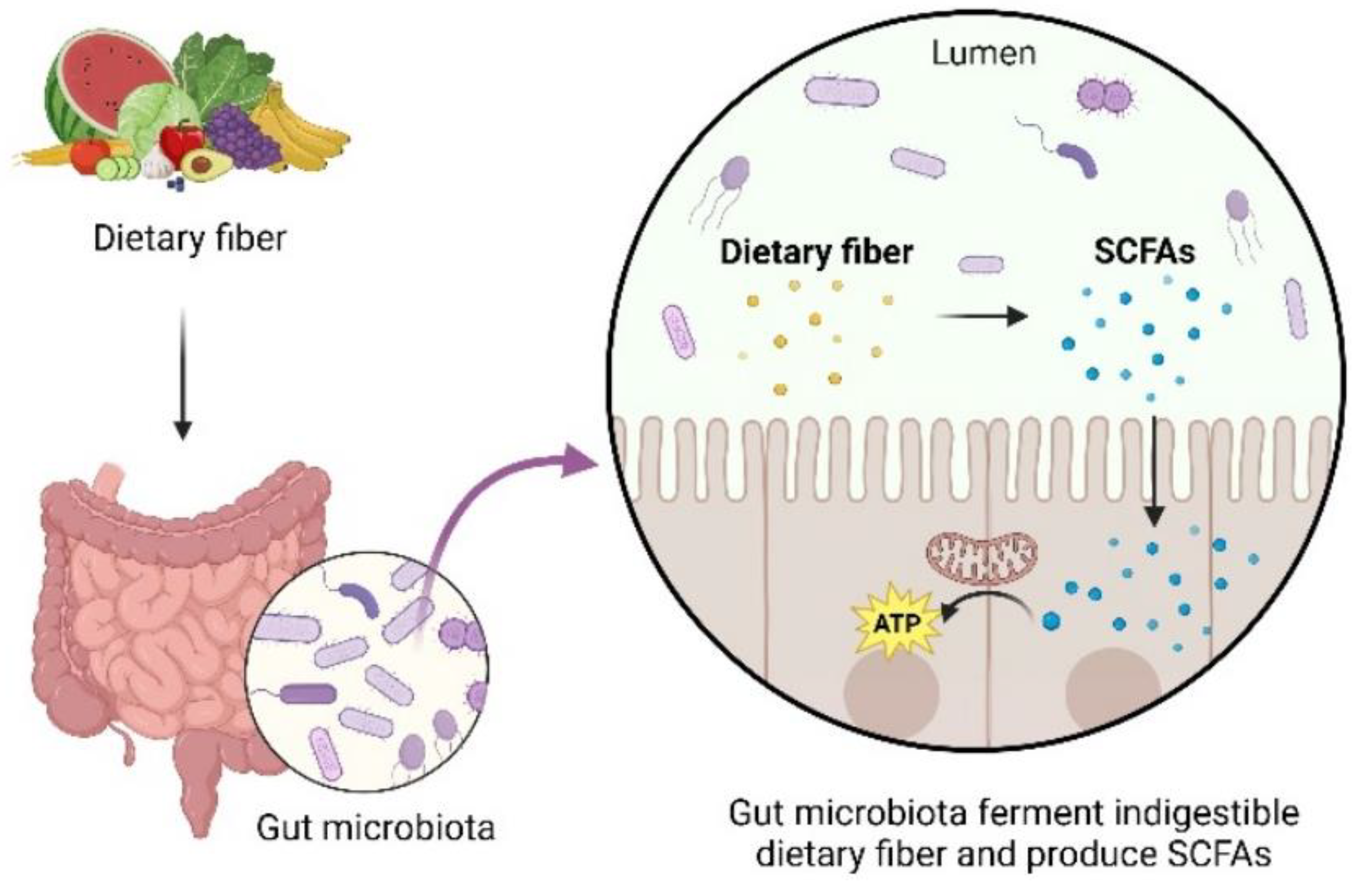 Preprints 147863 g002
