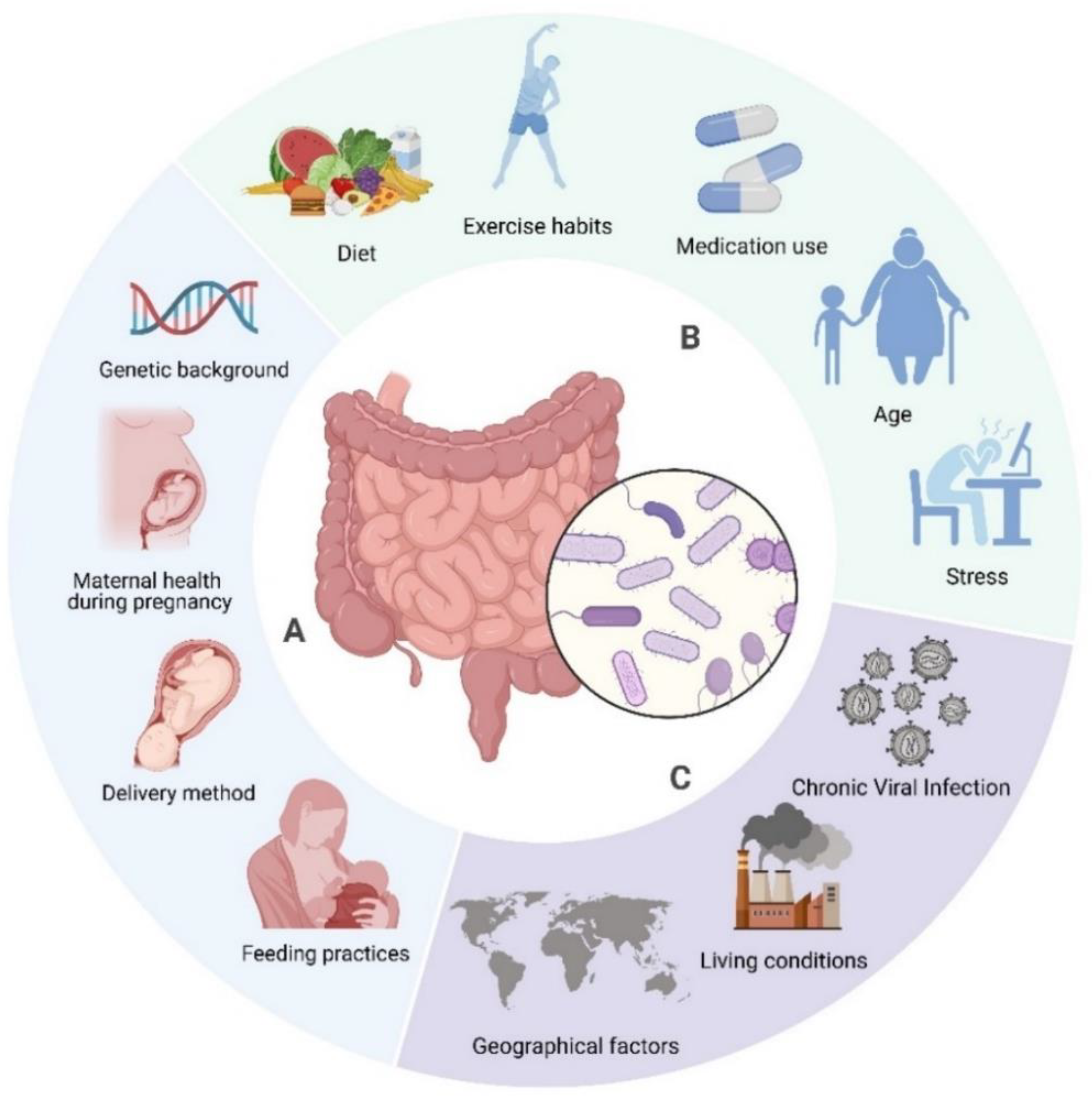 Preprints 147863 g003