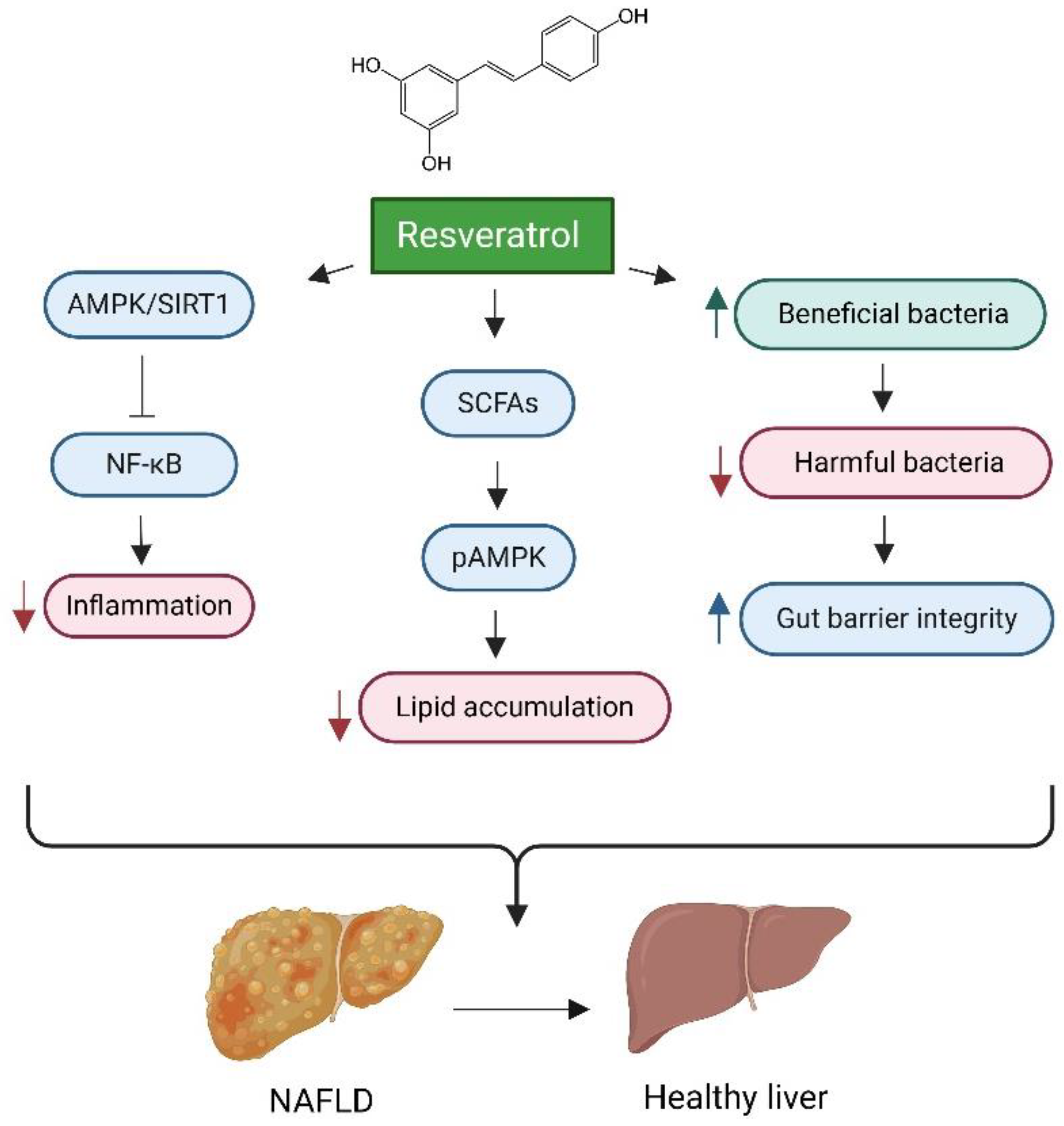 Preprints 147863 g005