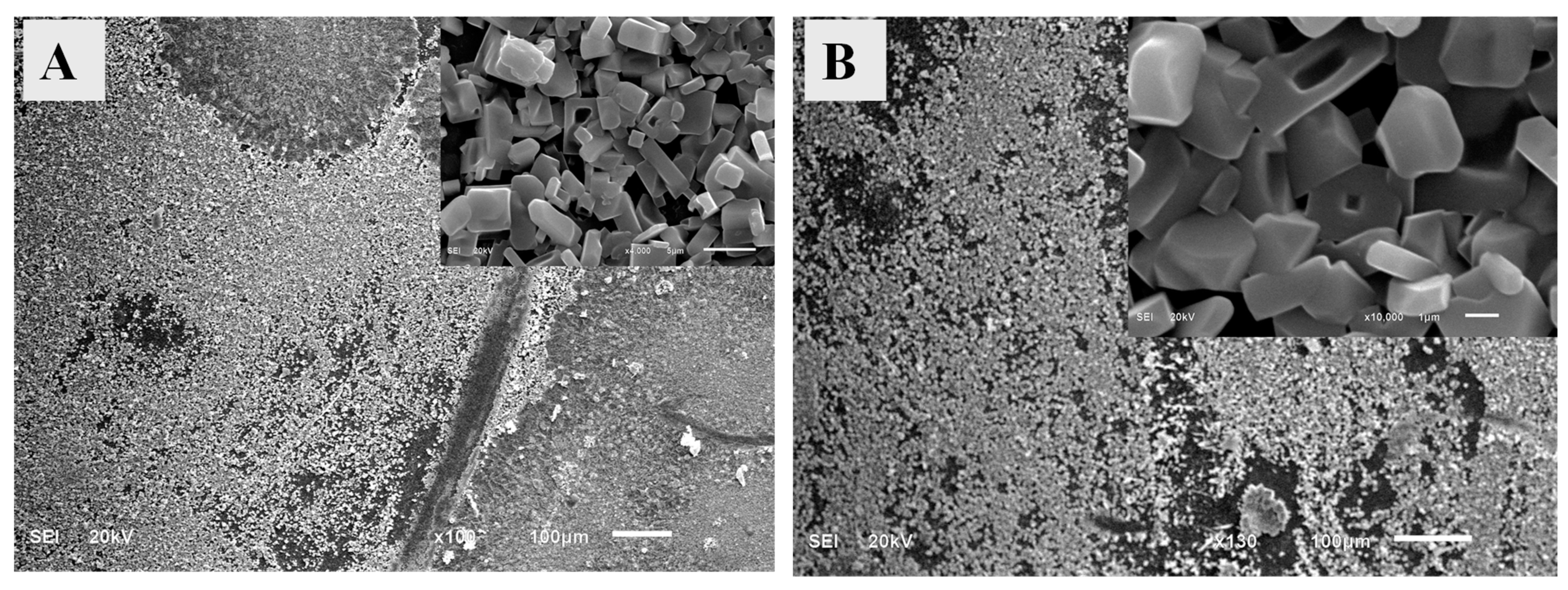 Preprints 147912 g004