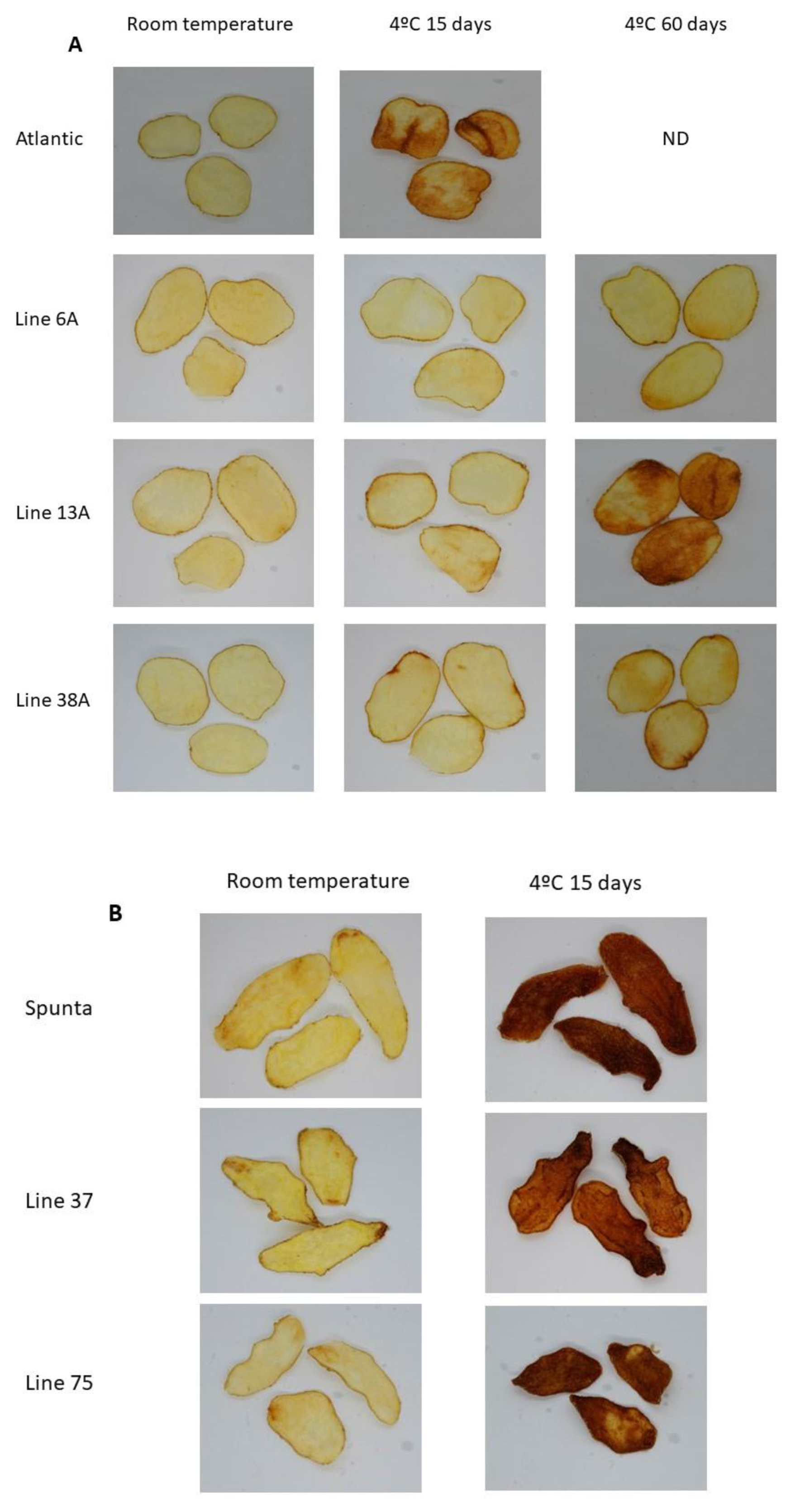 Preprints 154851 g002