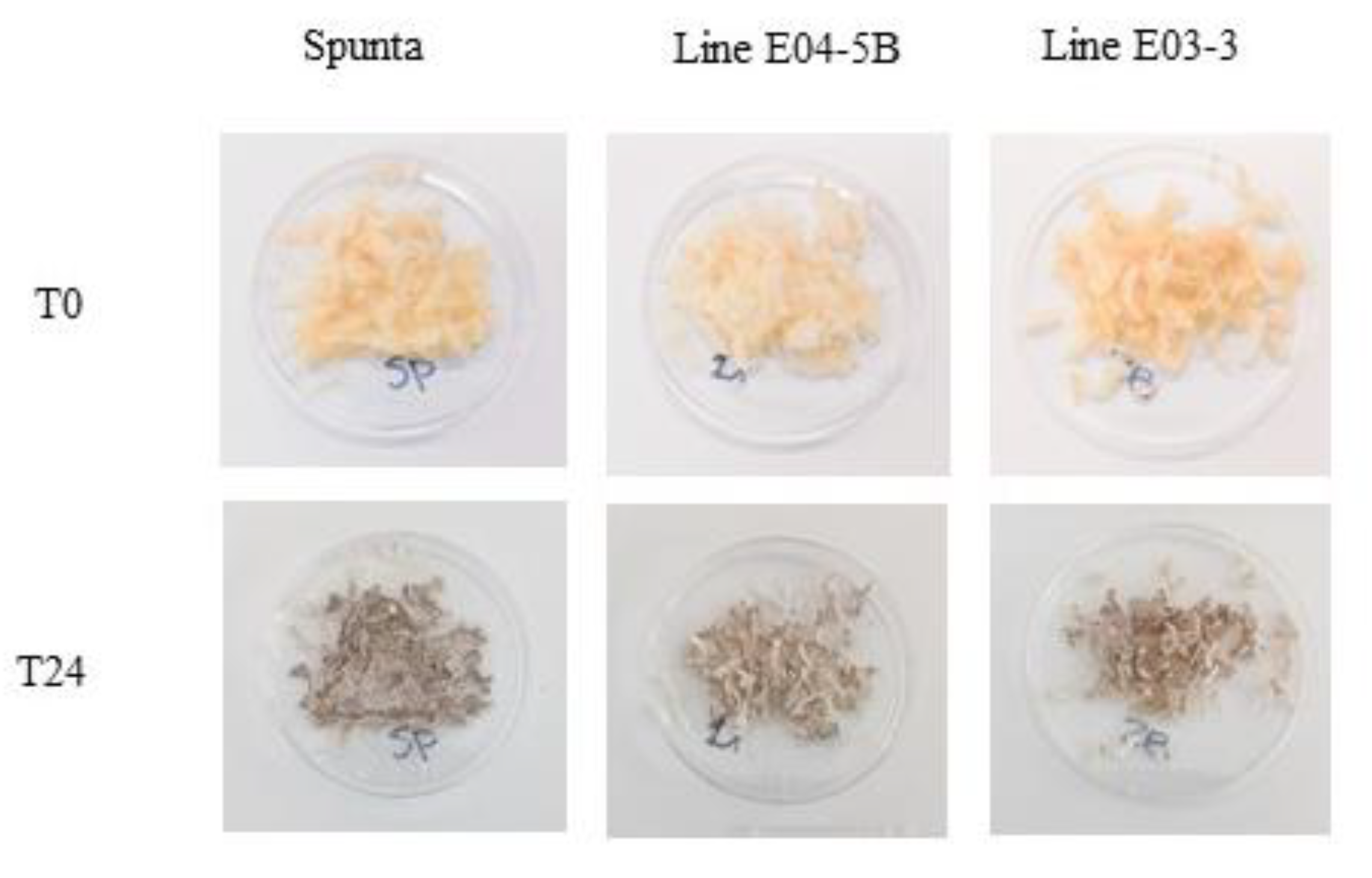 Preprints 154851 g004