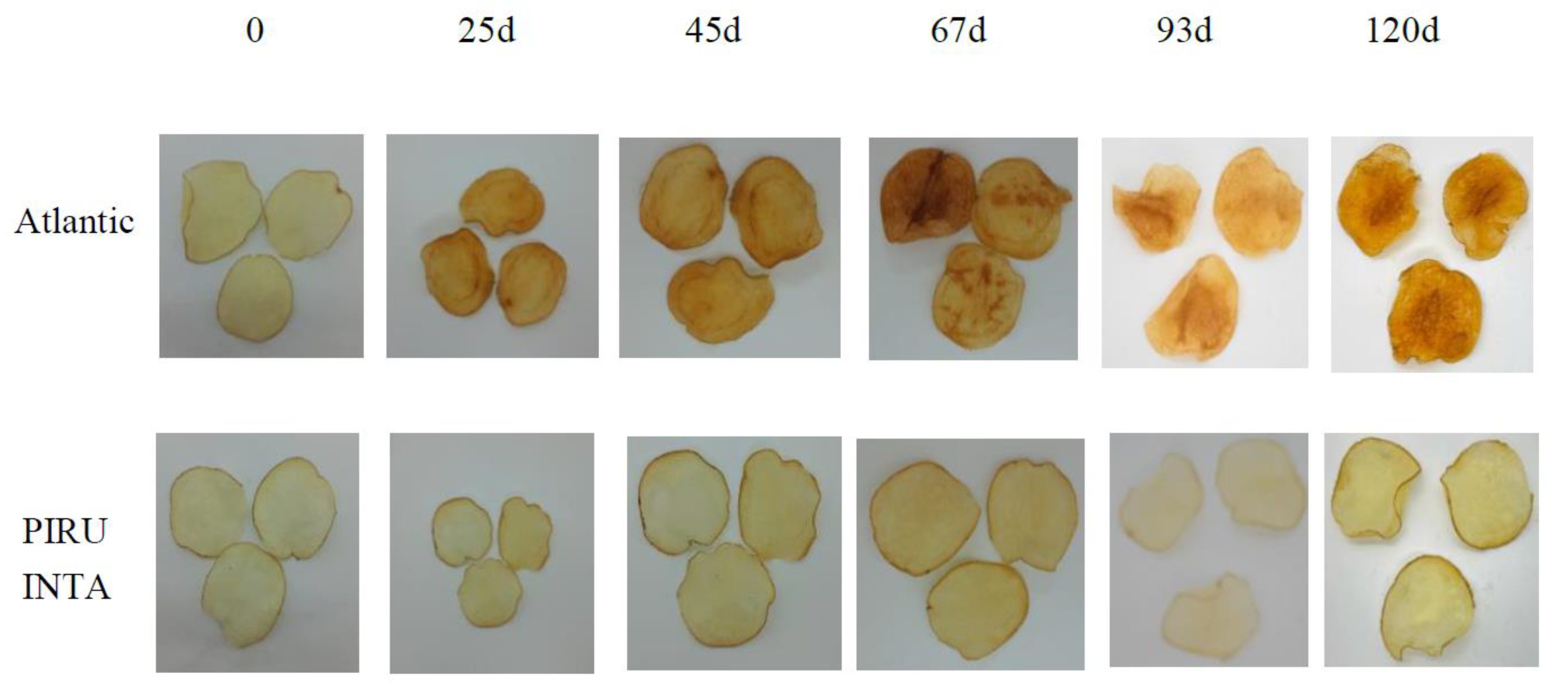 Preprints 154851 g006