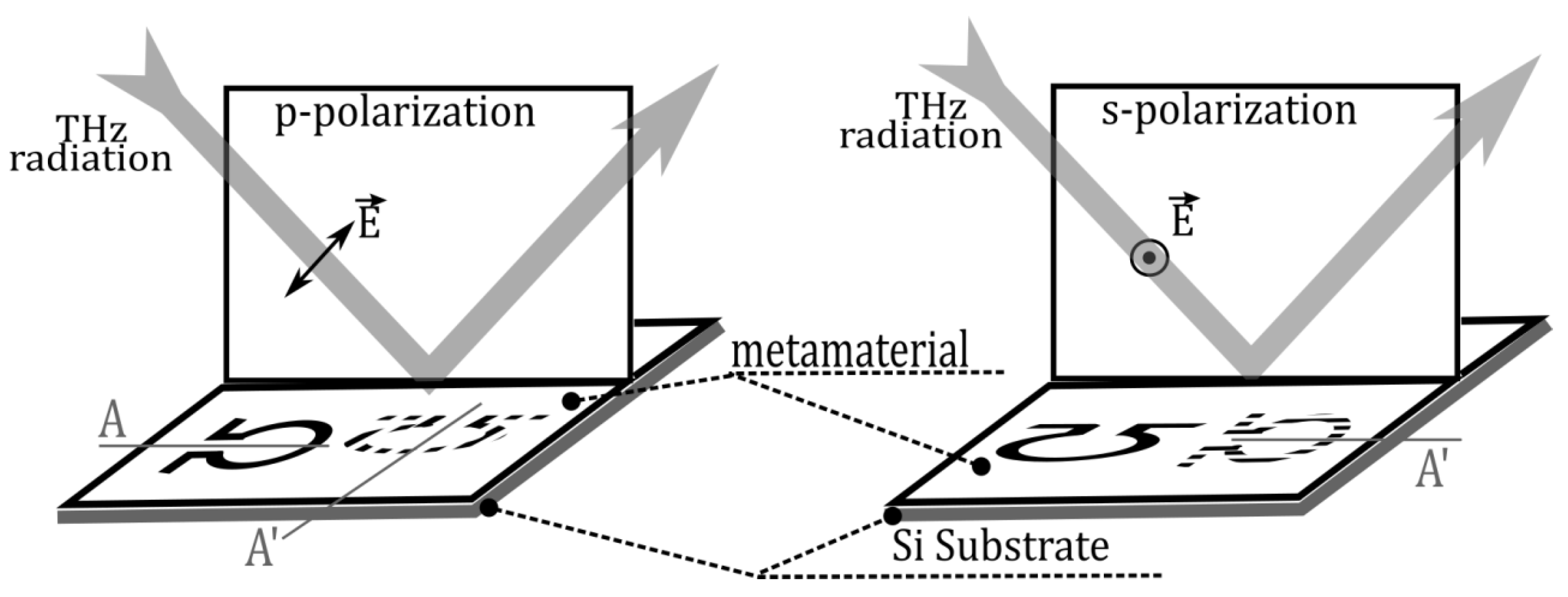 Preprints 94156 g003