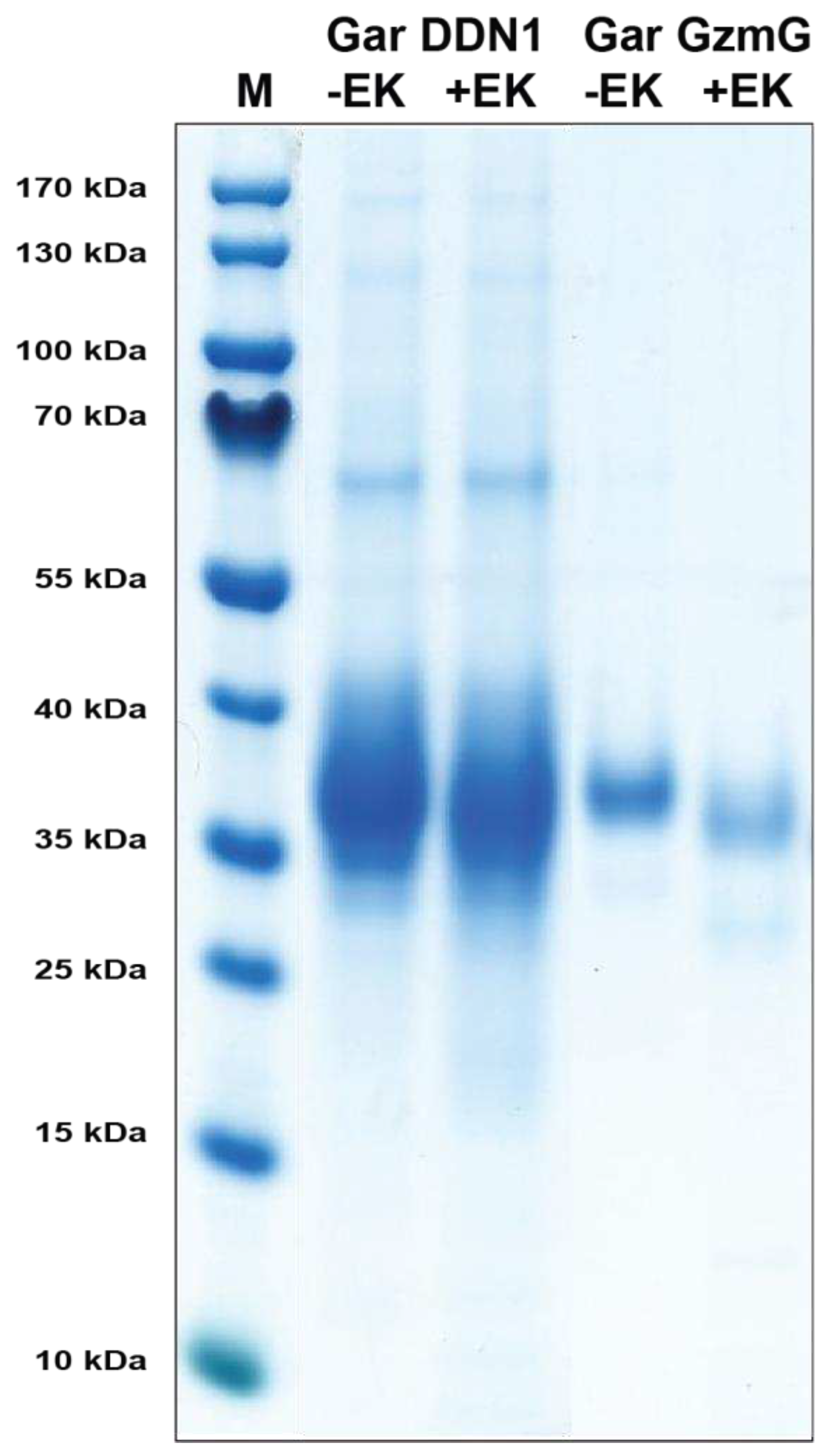Preprints 95578 g003