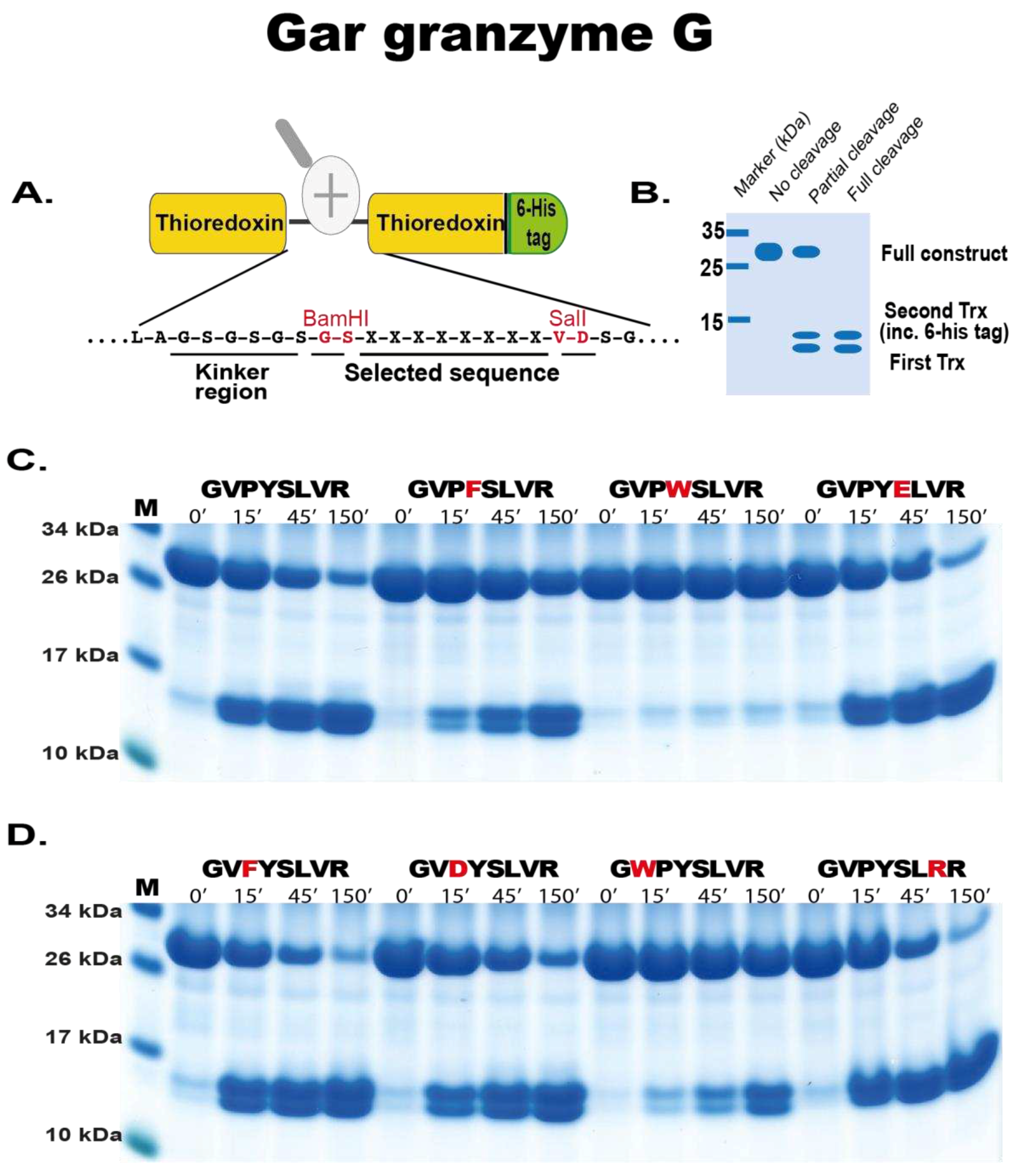 Preprints 95578 g005