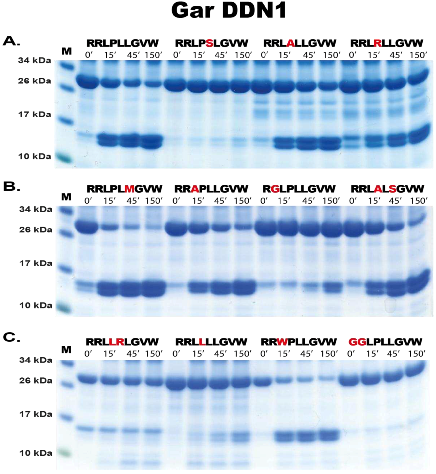Preprints 95578 g006