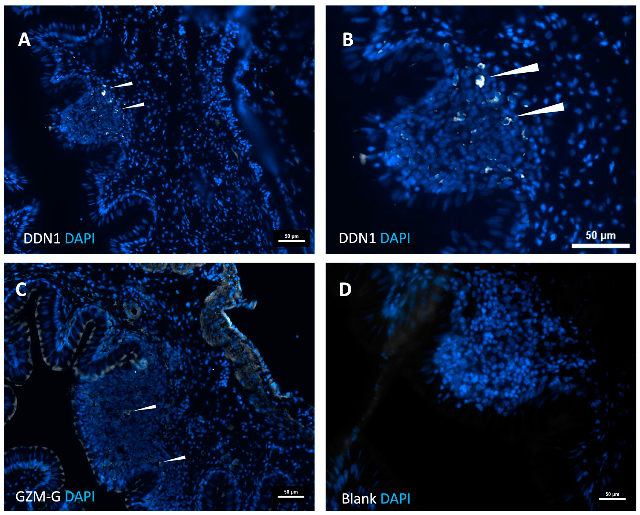 Preprints 95578 g008