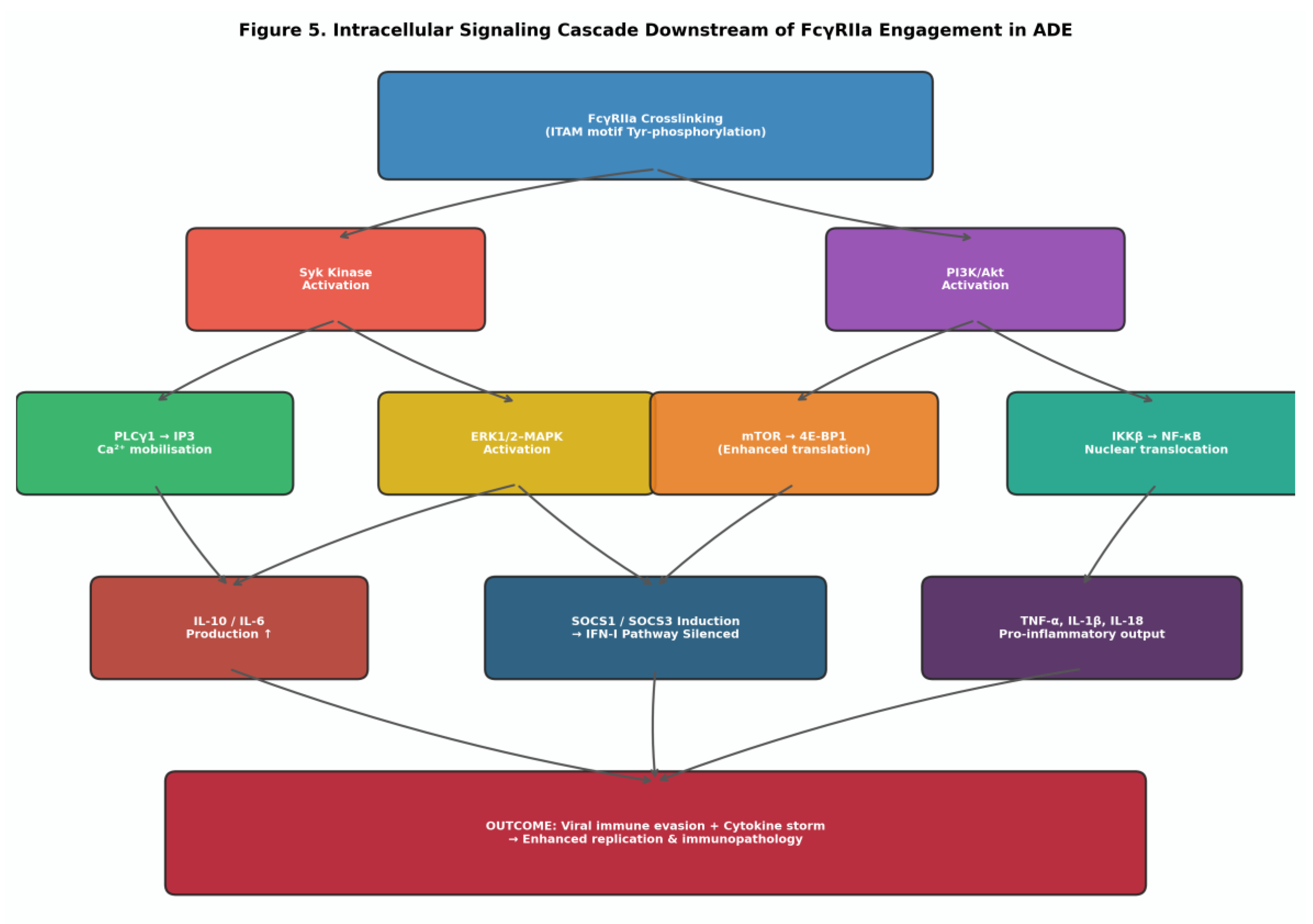 Preprints 205677 g002