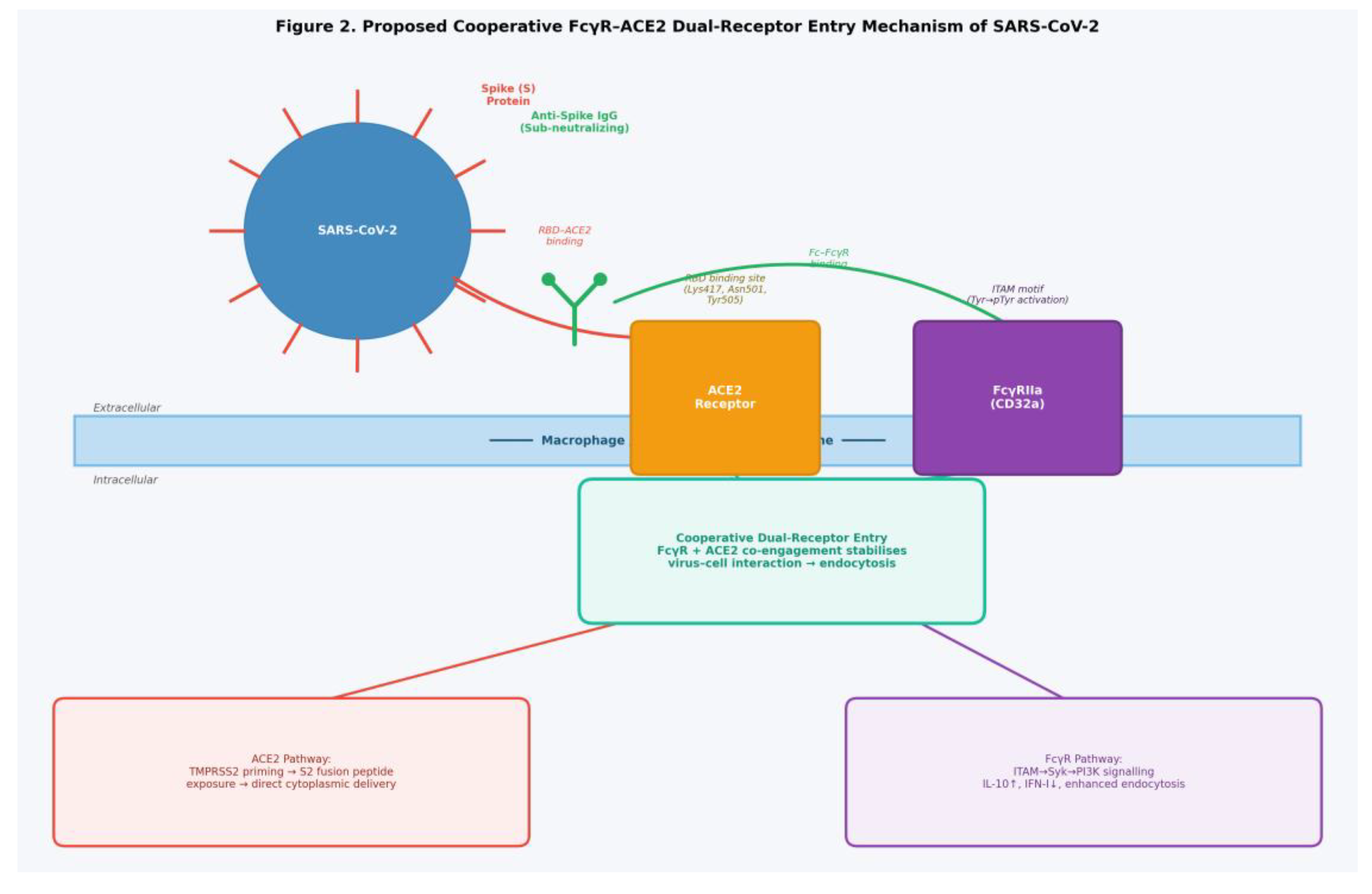 Preprints 205677 g003