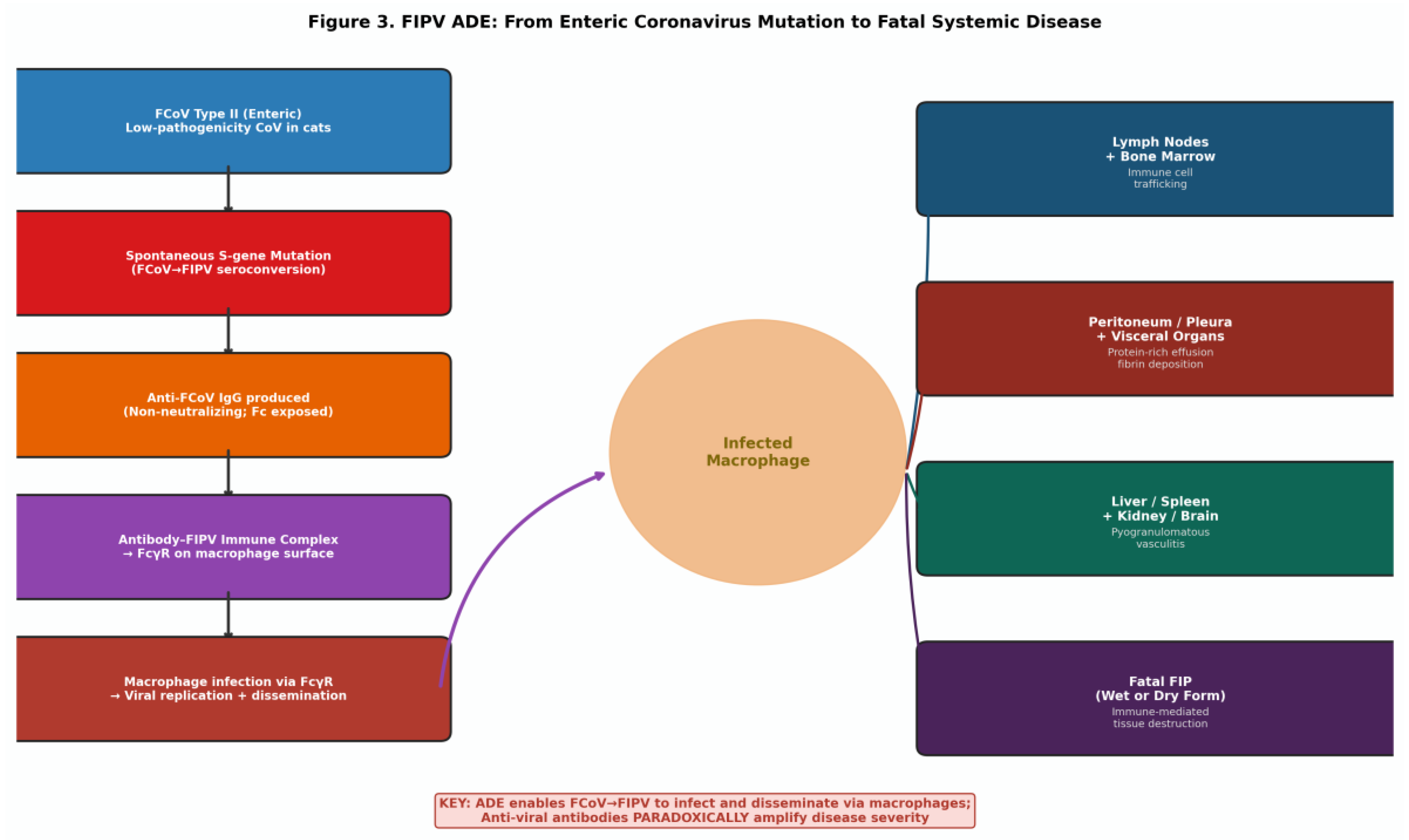 Preprints 205677 g004