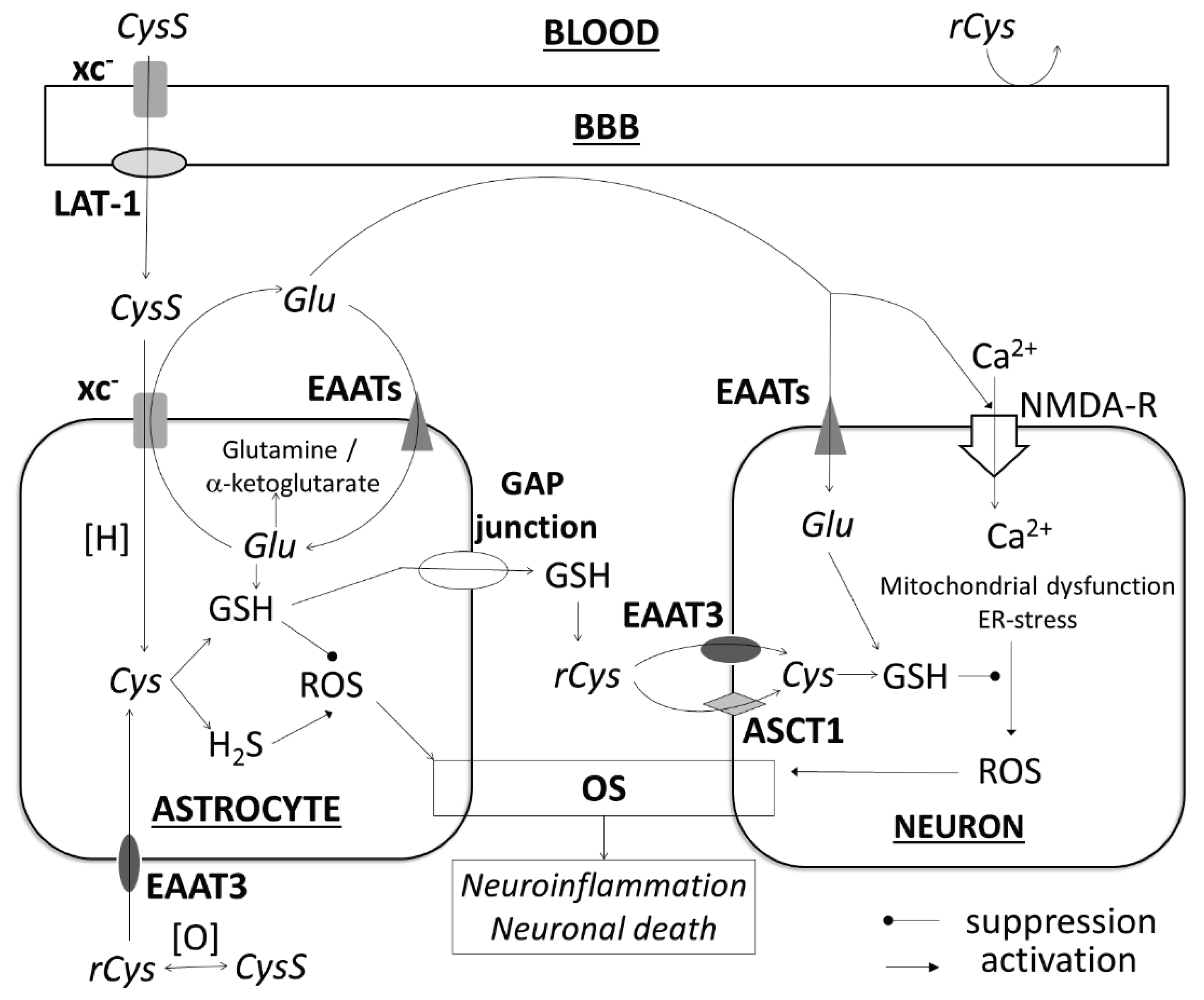 Preprints 177850 g002
