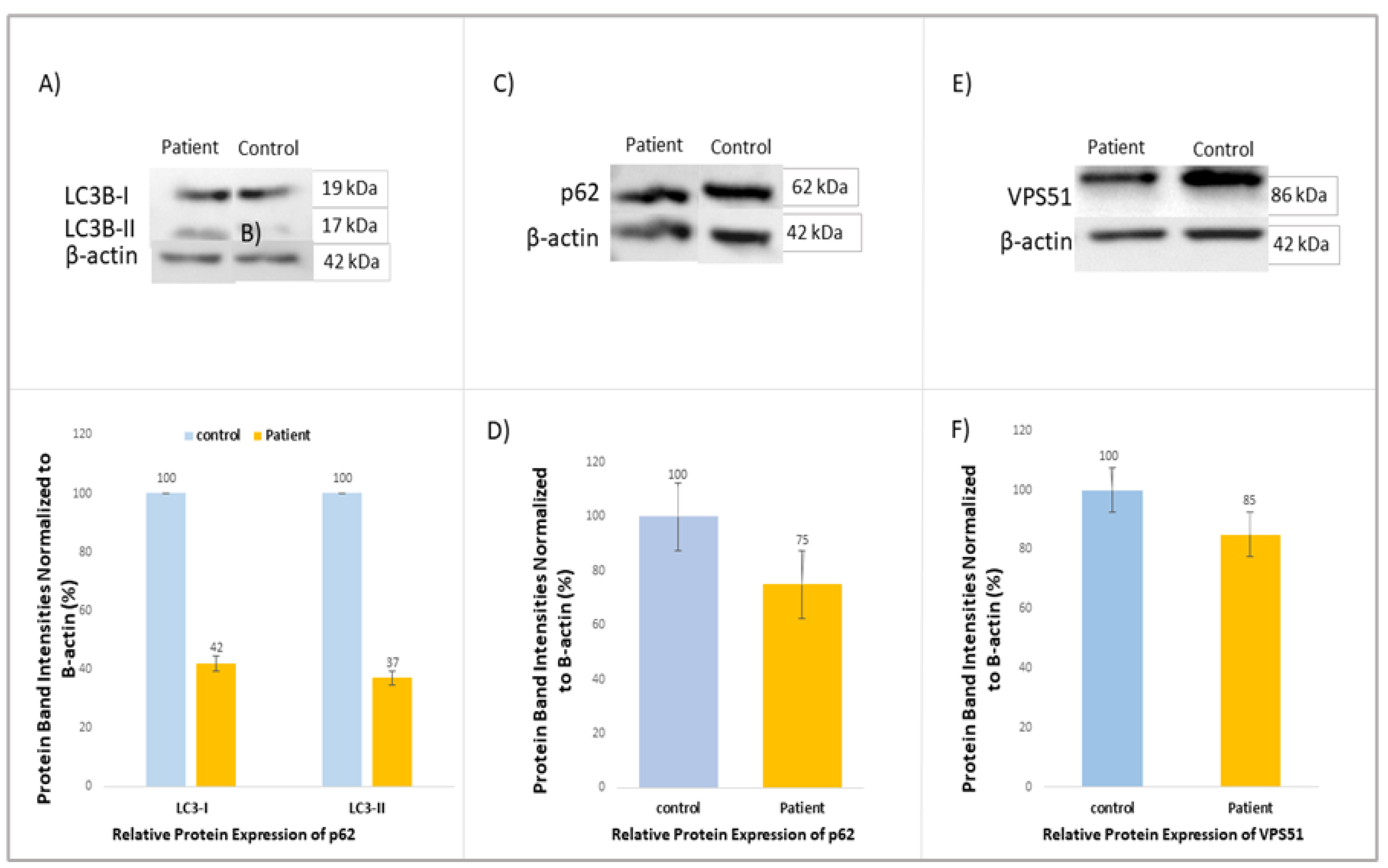 Preprints 160099 g003