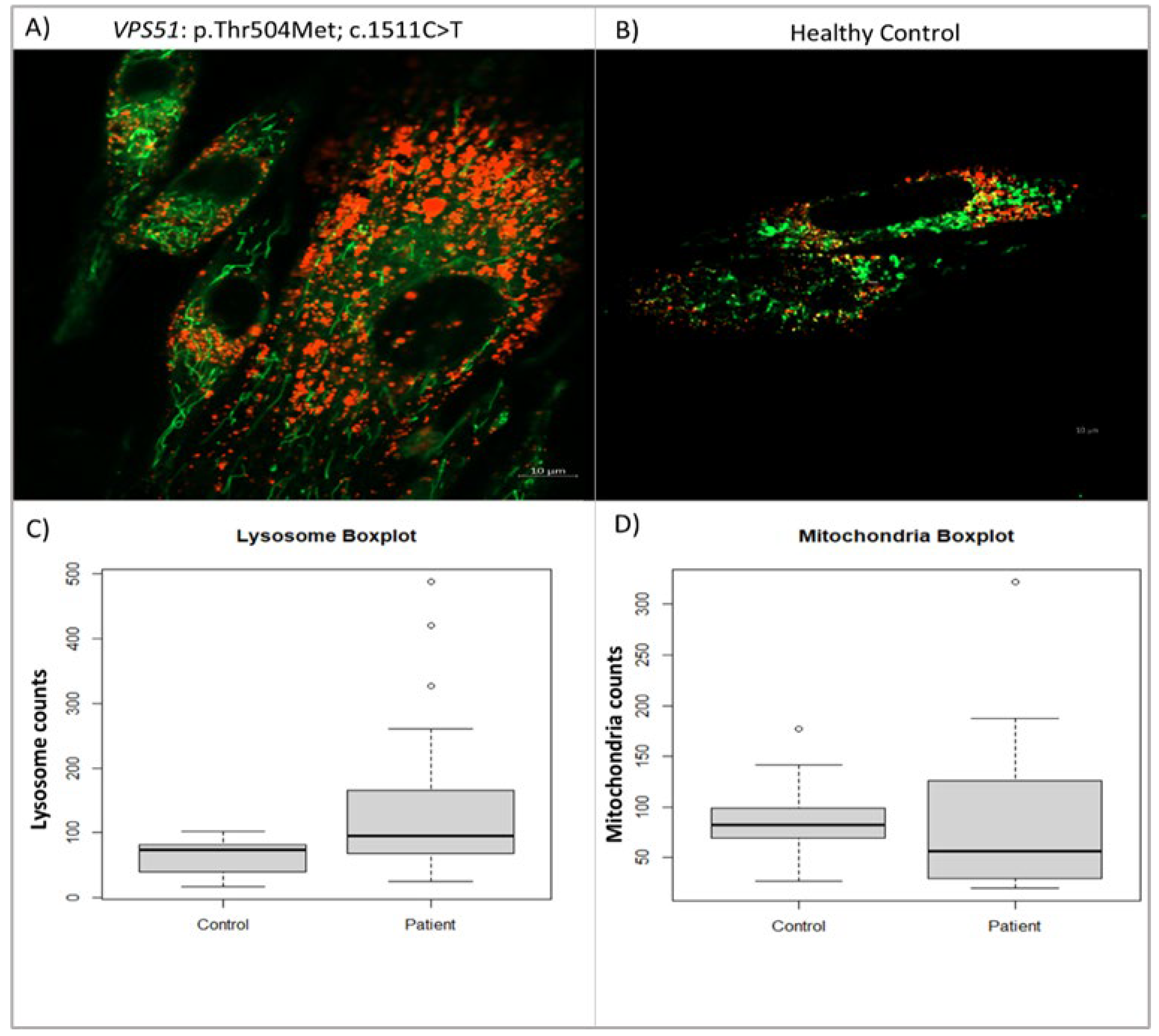 Preprints 160099 g006