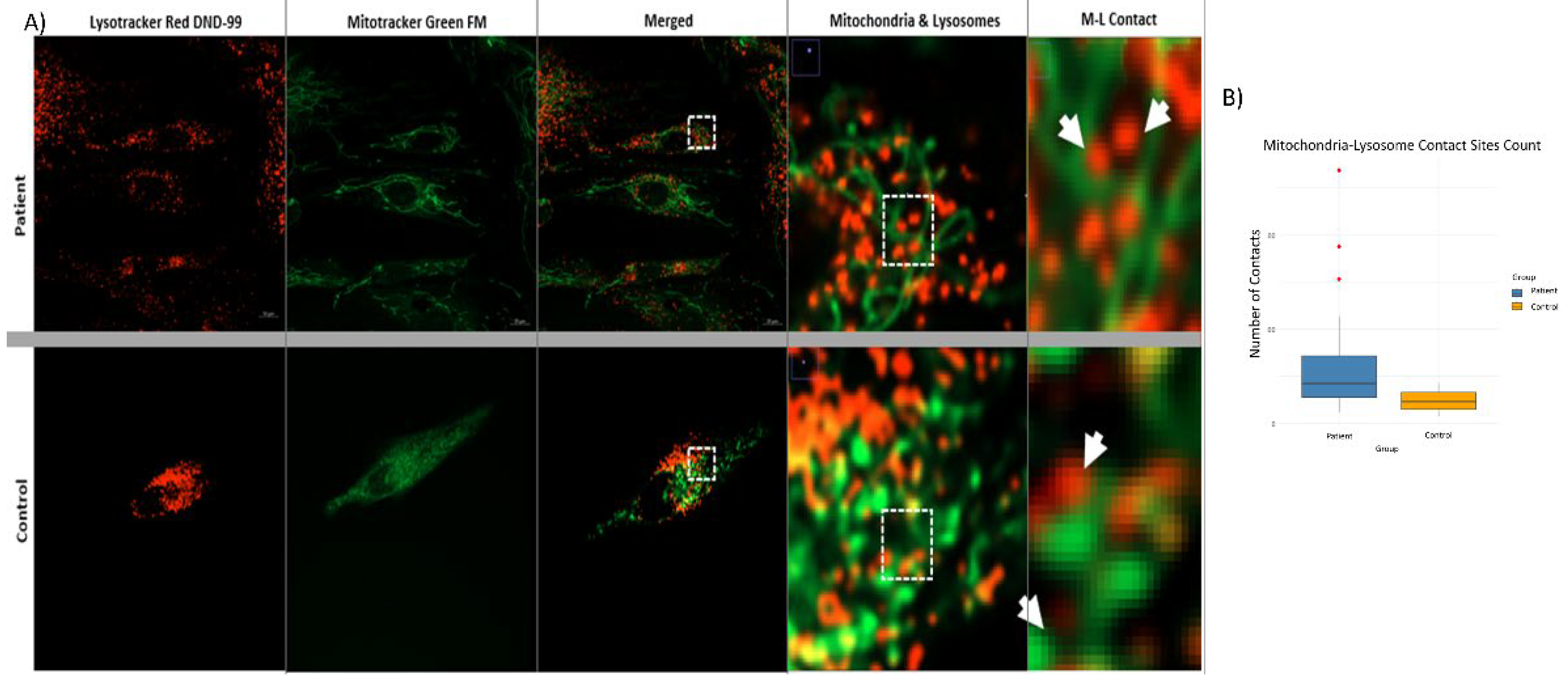 Preprints 160099 g007