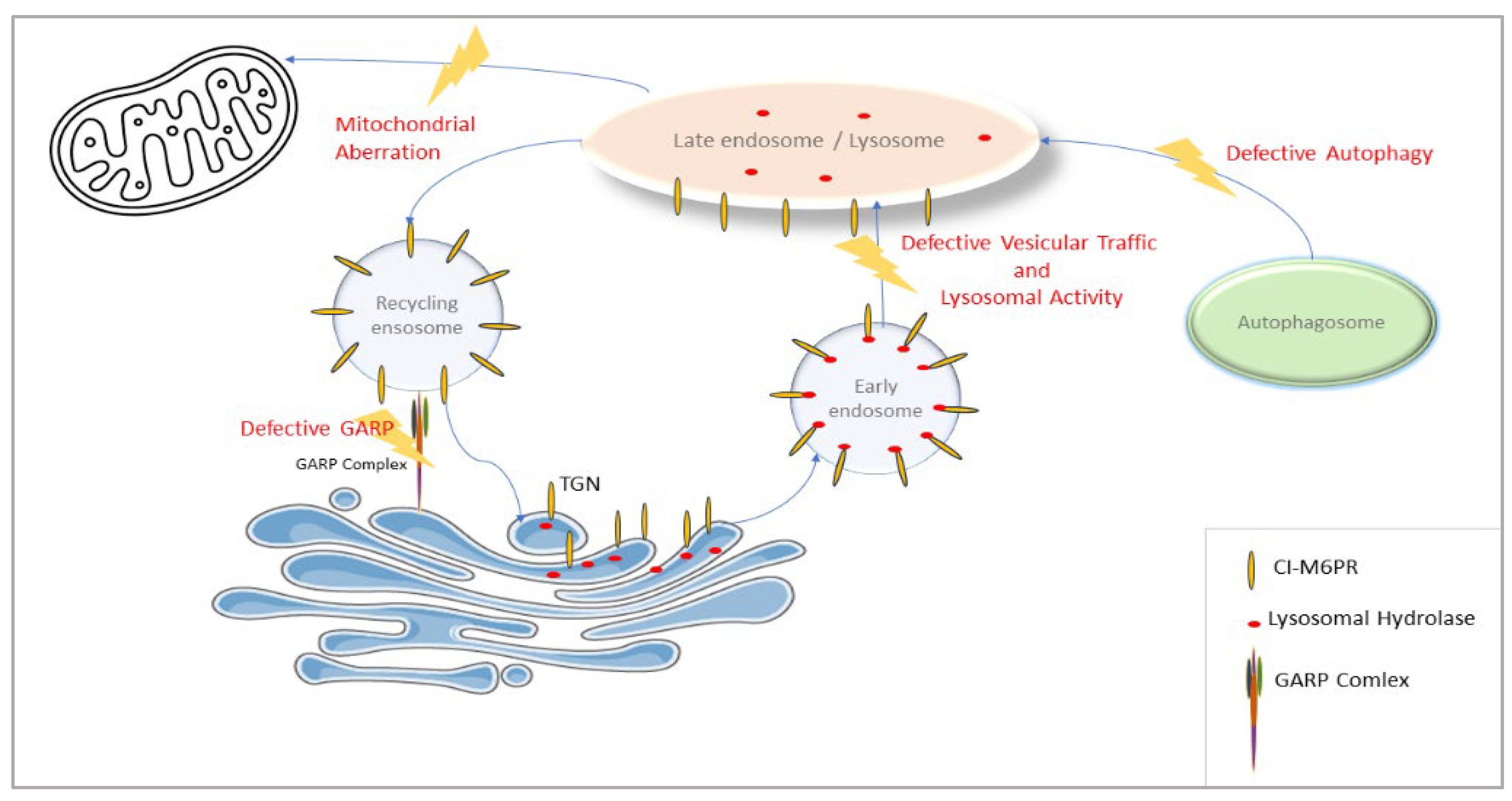 Preprints 160099 g008