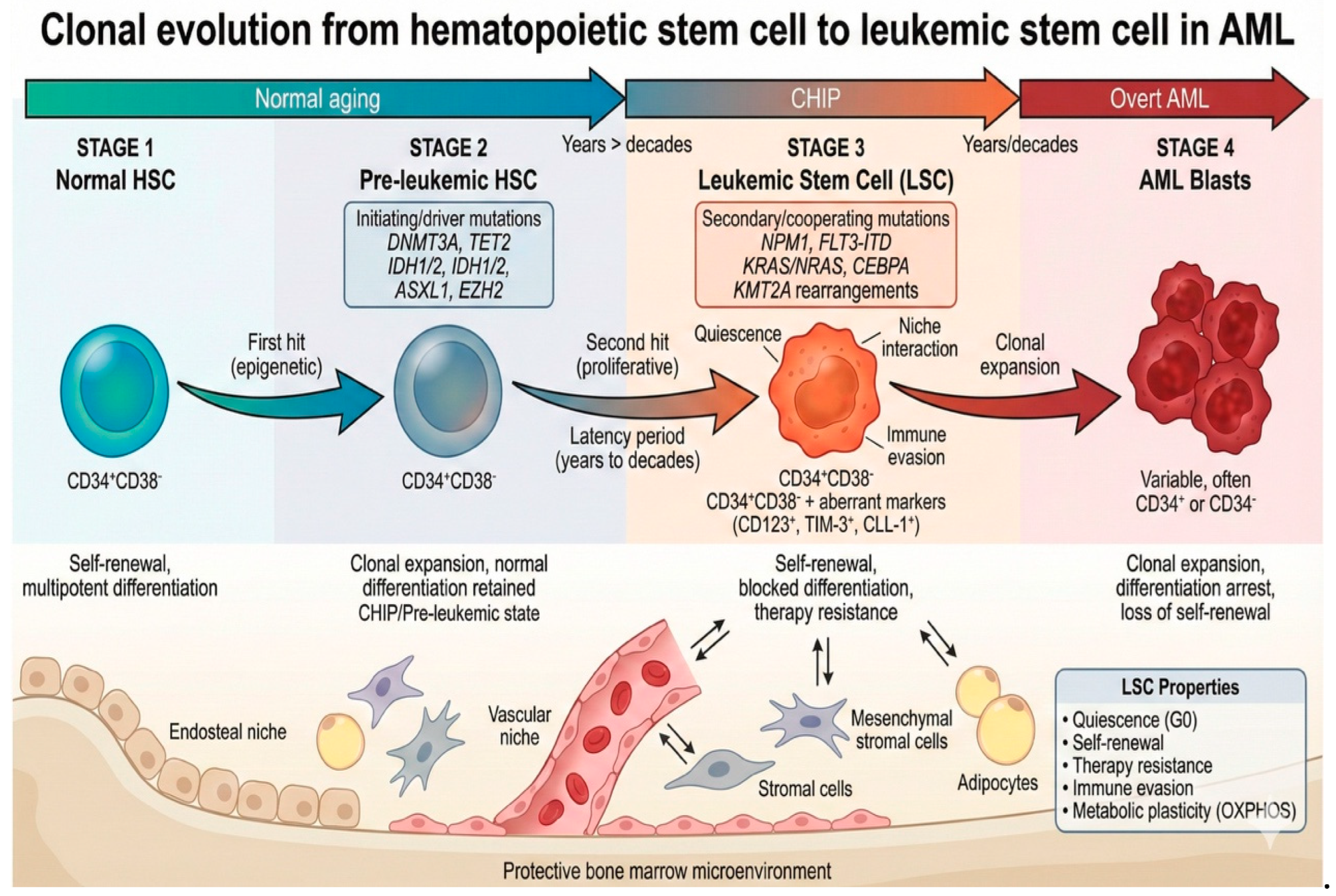 Preprints 192124 g001