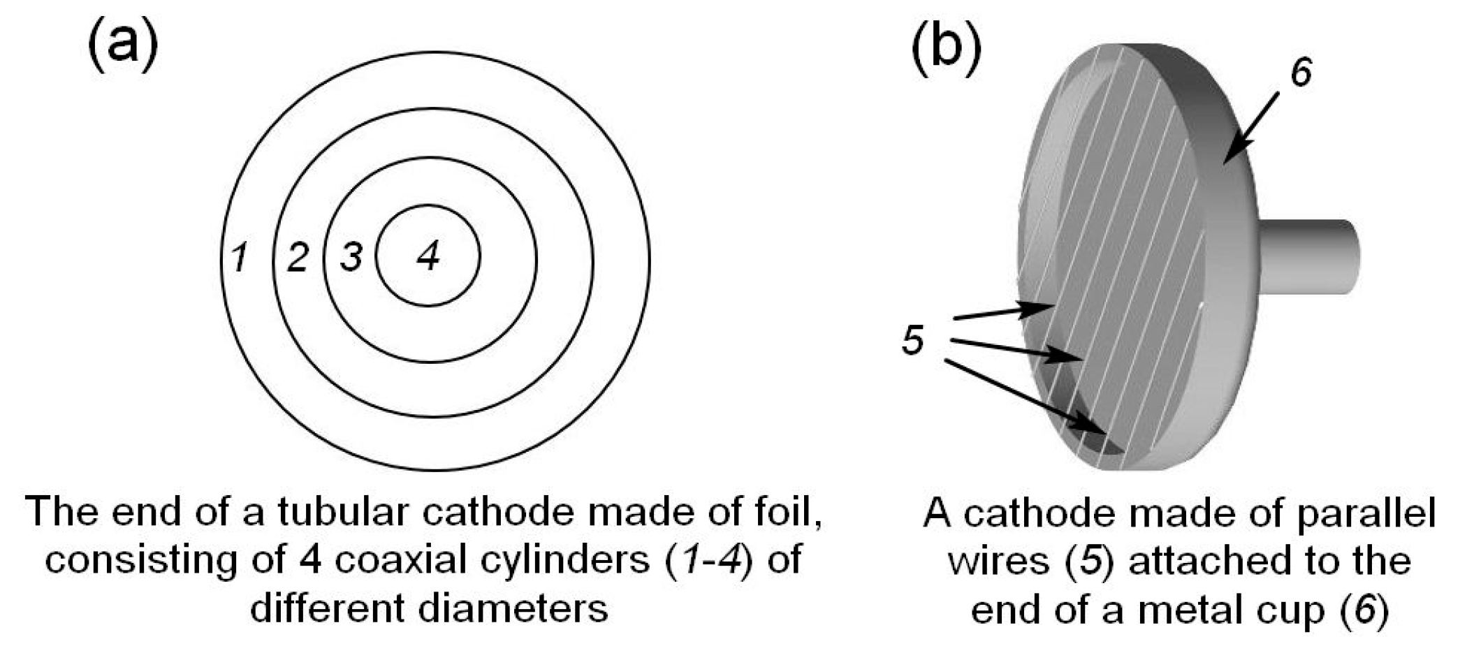 Preprints 93768 g012