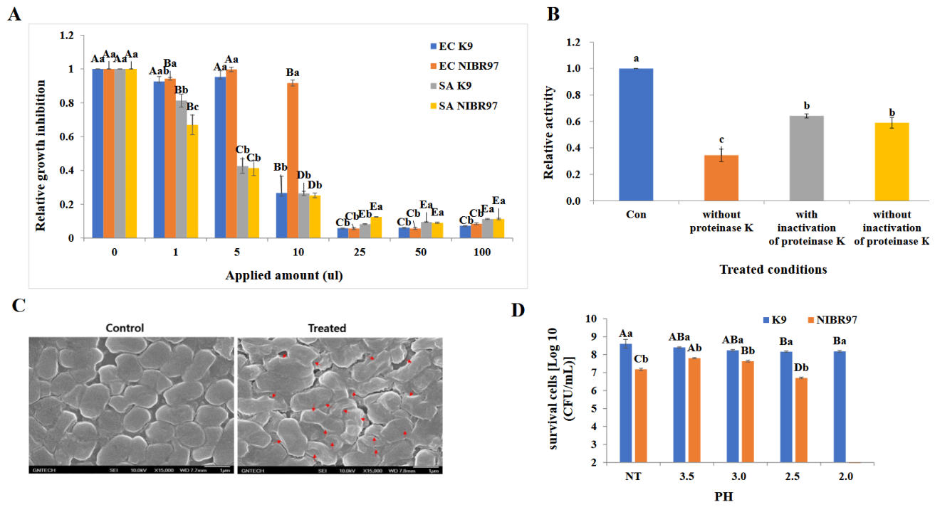 Preprints 221956 g001 Preprints 221956 g001