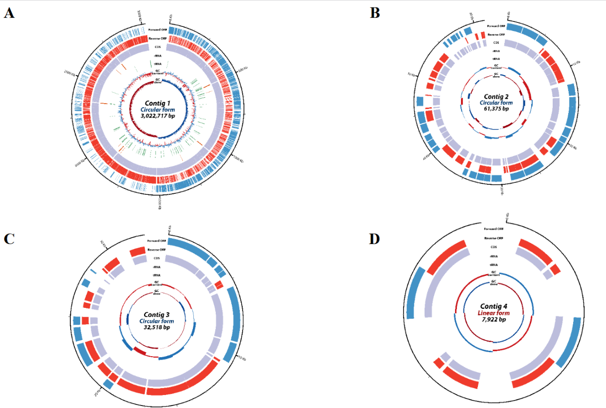 Preprints 221956 g002 Preprints 221956 g002