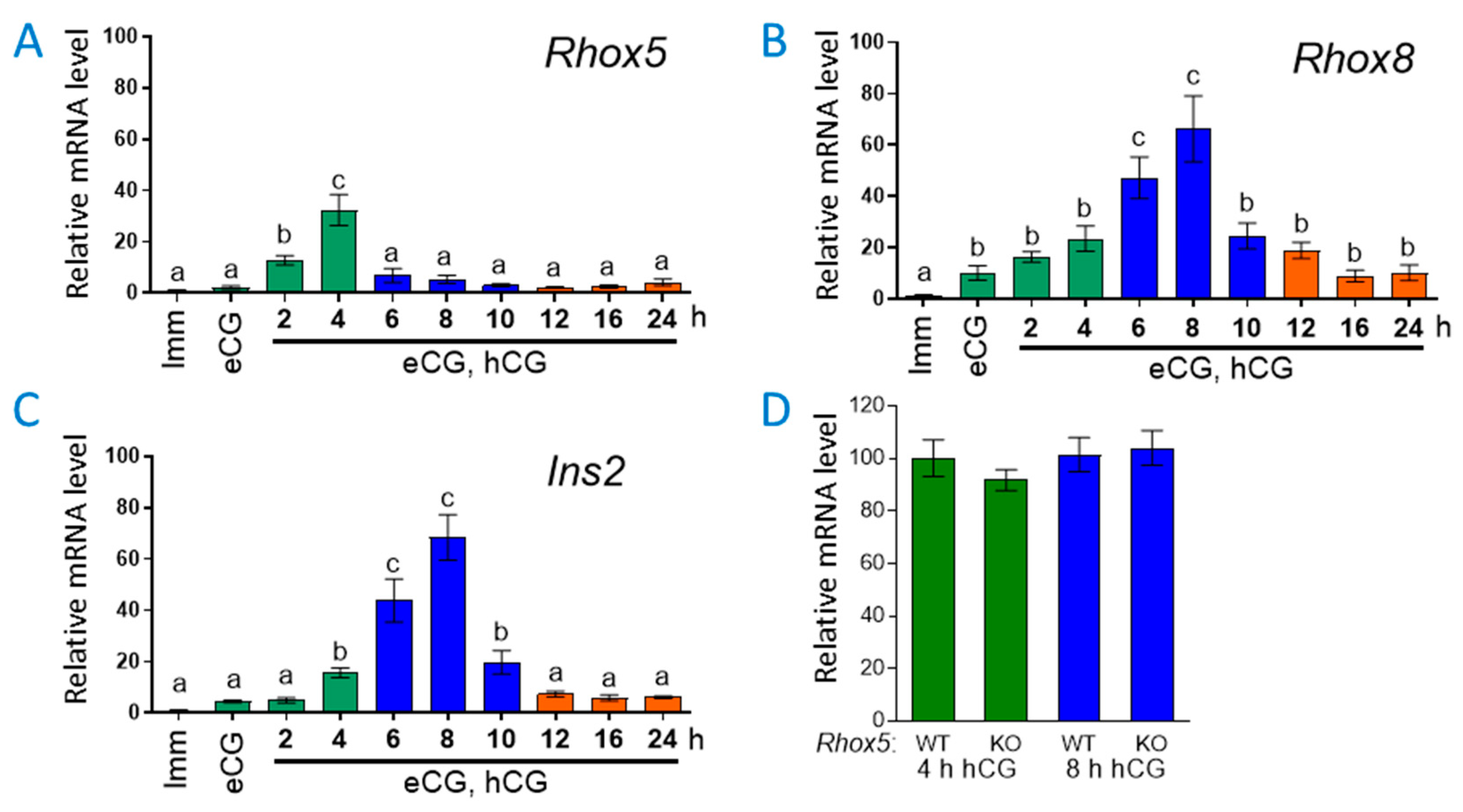 Preprints 149783 g001